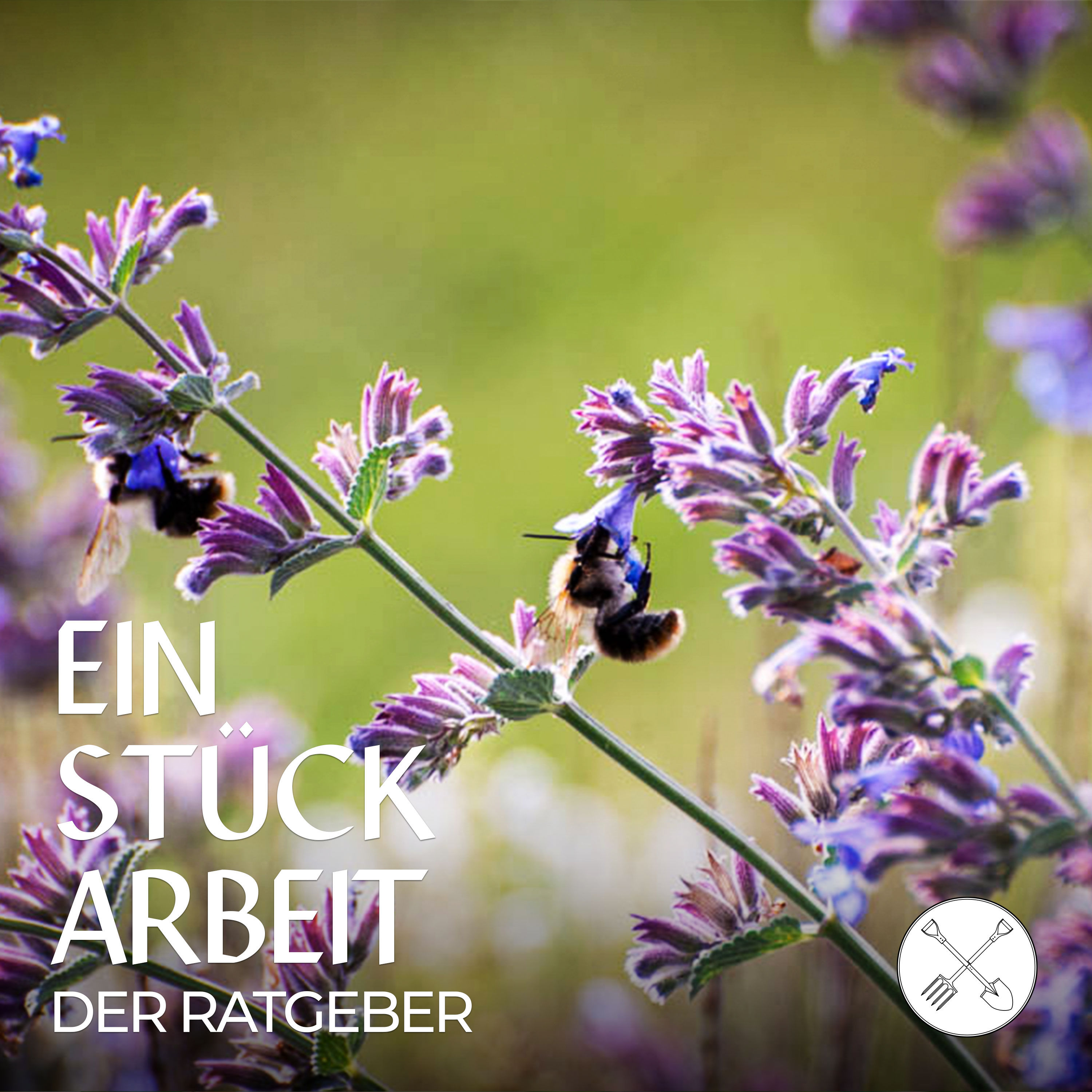 Mehr Tiere im Garten: 7 Tipps