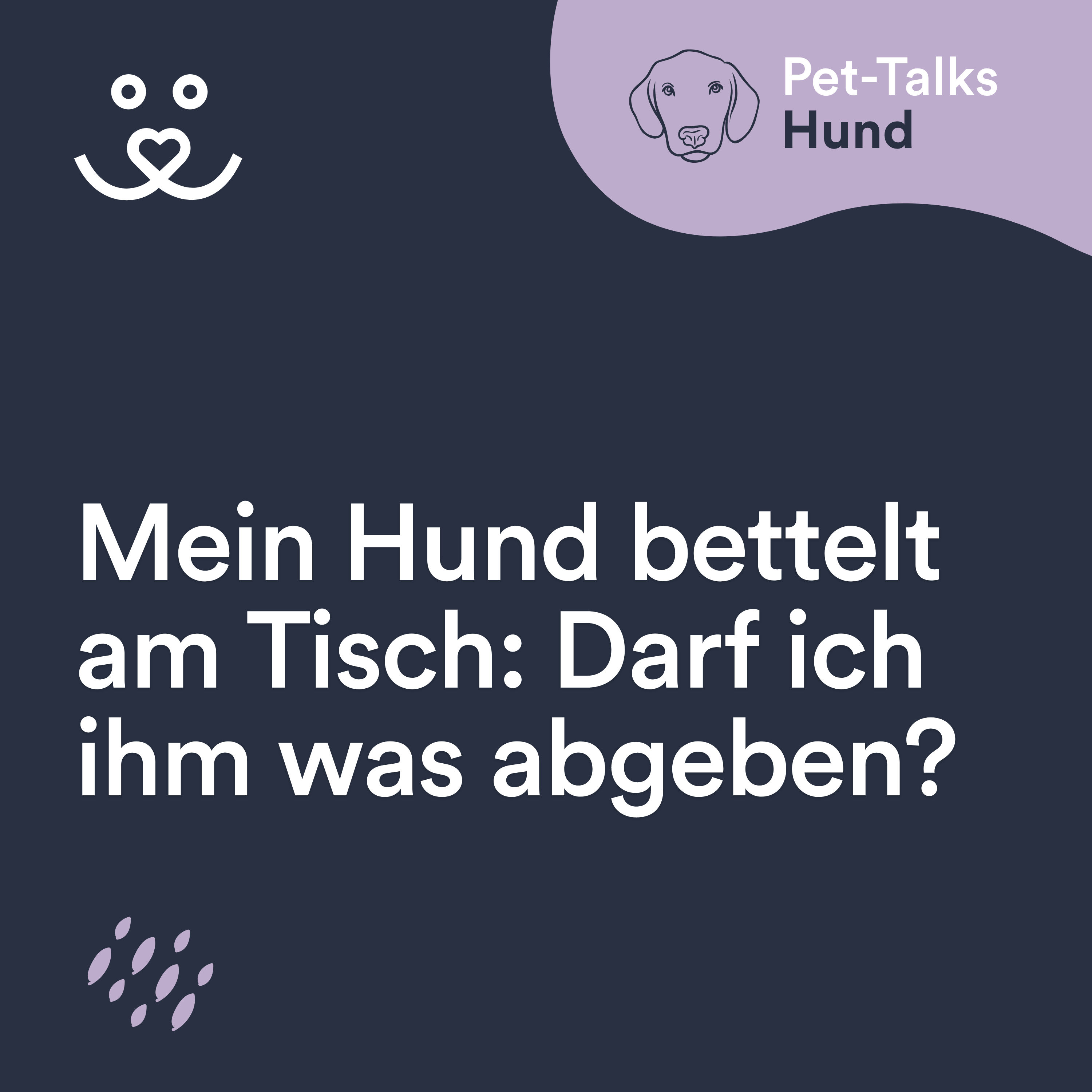 Mein Hund bettelt am Tisch: Darf ich ihm was abgeben?
