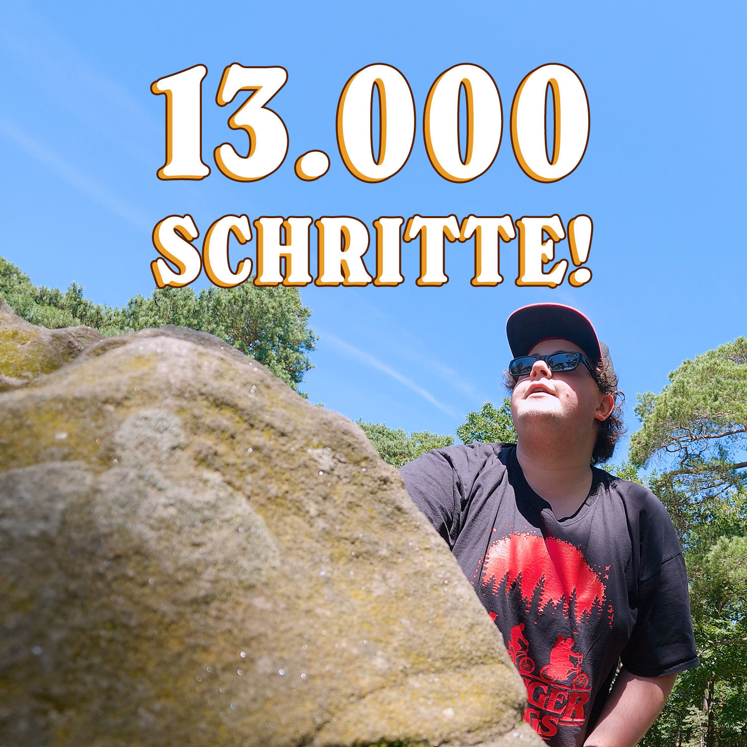 Mein Smartphone ist ein fucking Scam! | Schritt für Schritt: 13K