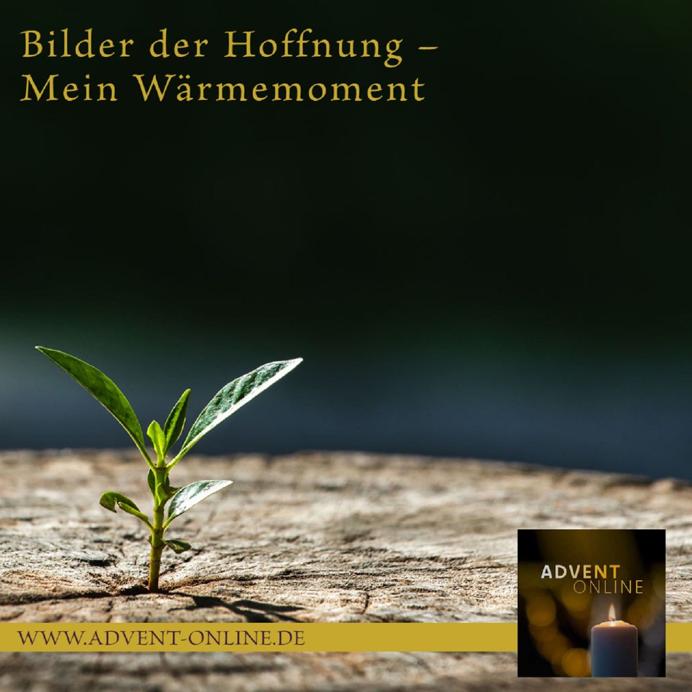 Mein Wärmemoment - Impuls zum 04. Dezember 2022