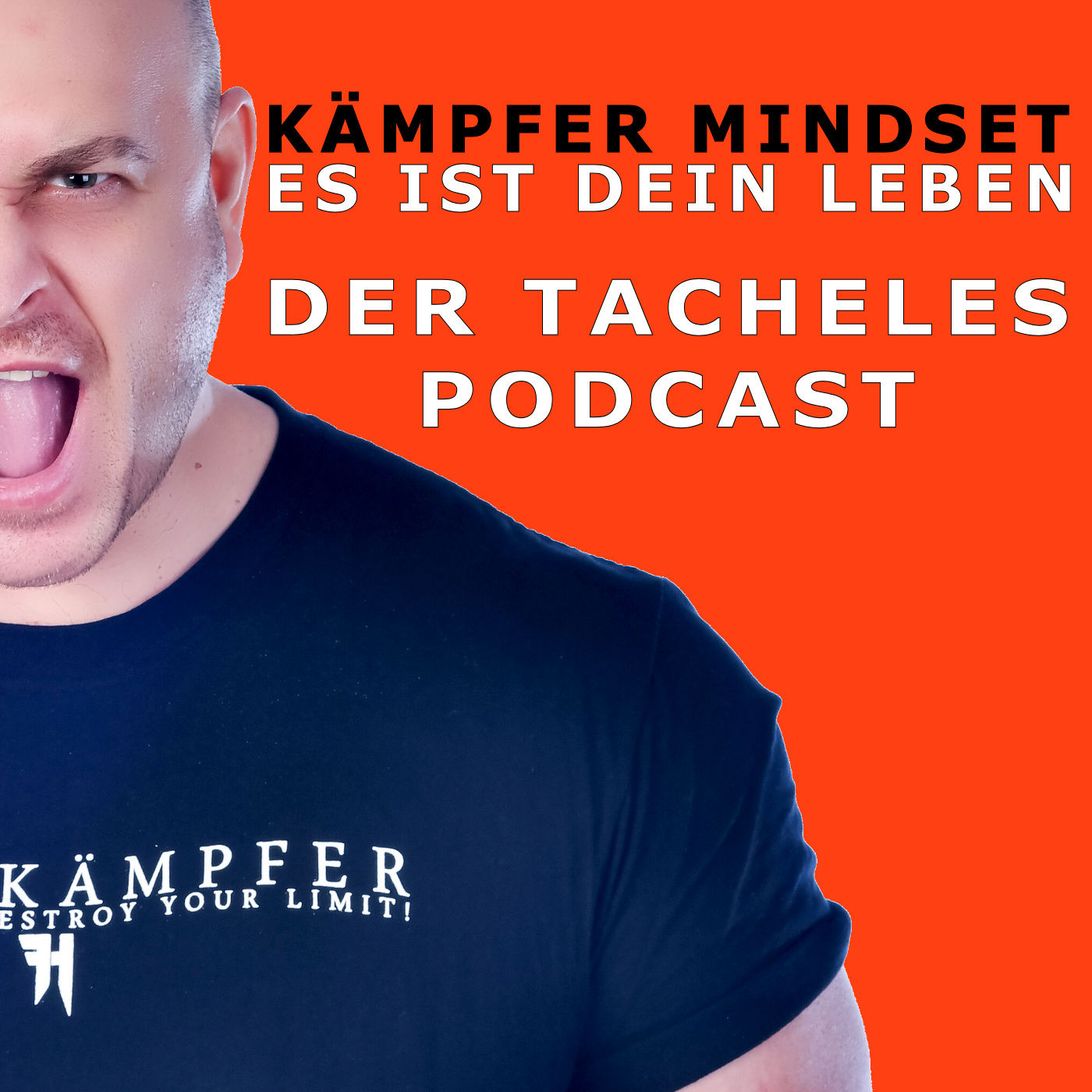 Meinungsfreiheit - Das Recht seine Meinung zu sagen