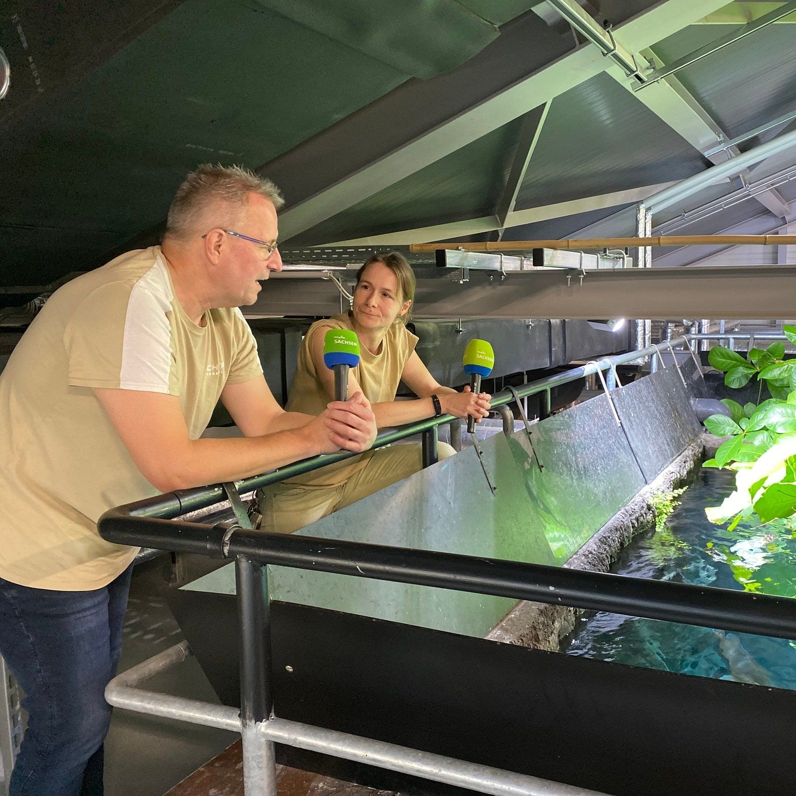 Menschliche Putzerfische