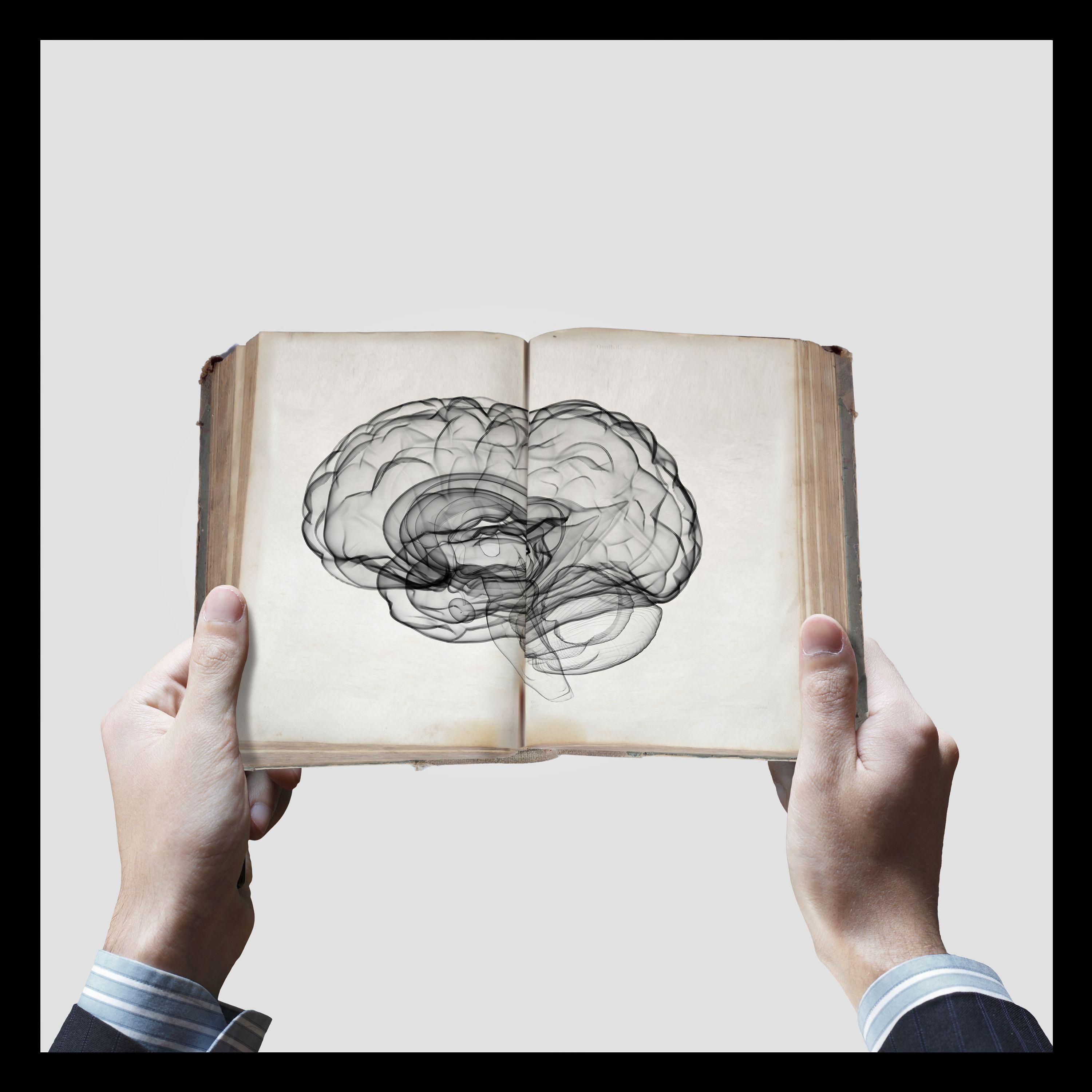 Mentale Vorbereitung für den Wettkampf - MTP Folge 157