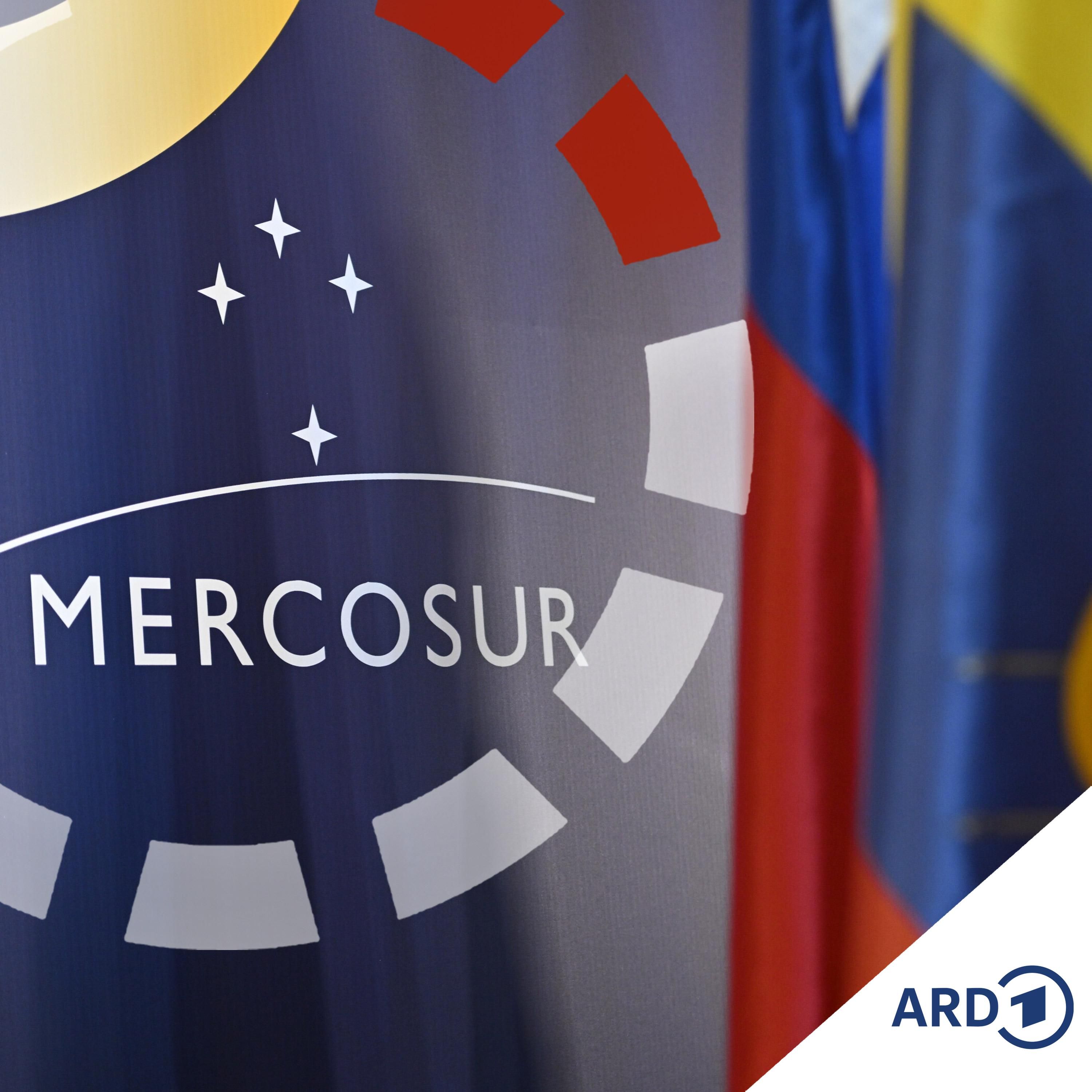 Mercosur beschlossen - und jetzt?