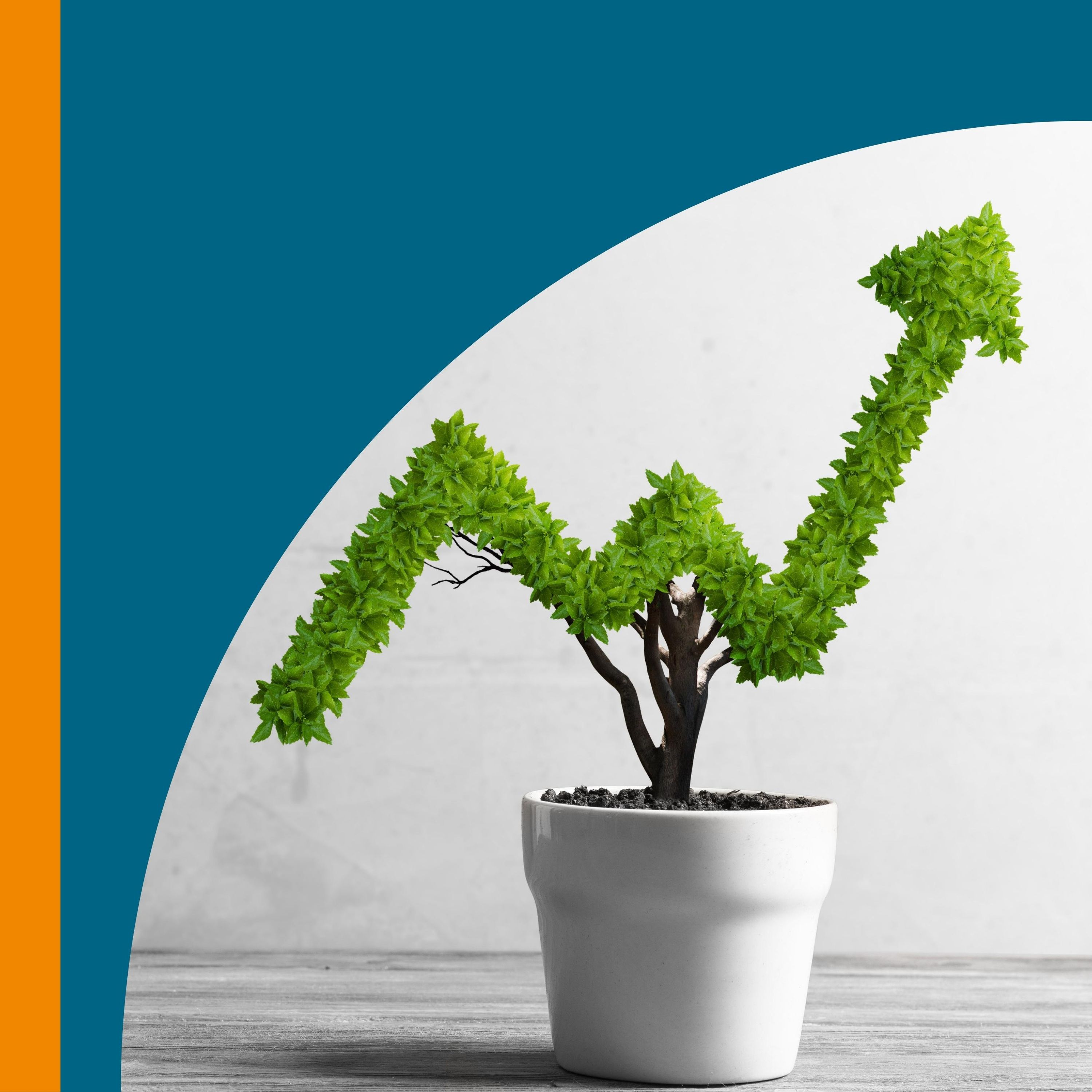 "MES - Nachhaltigkeit im Fokus"