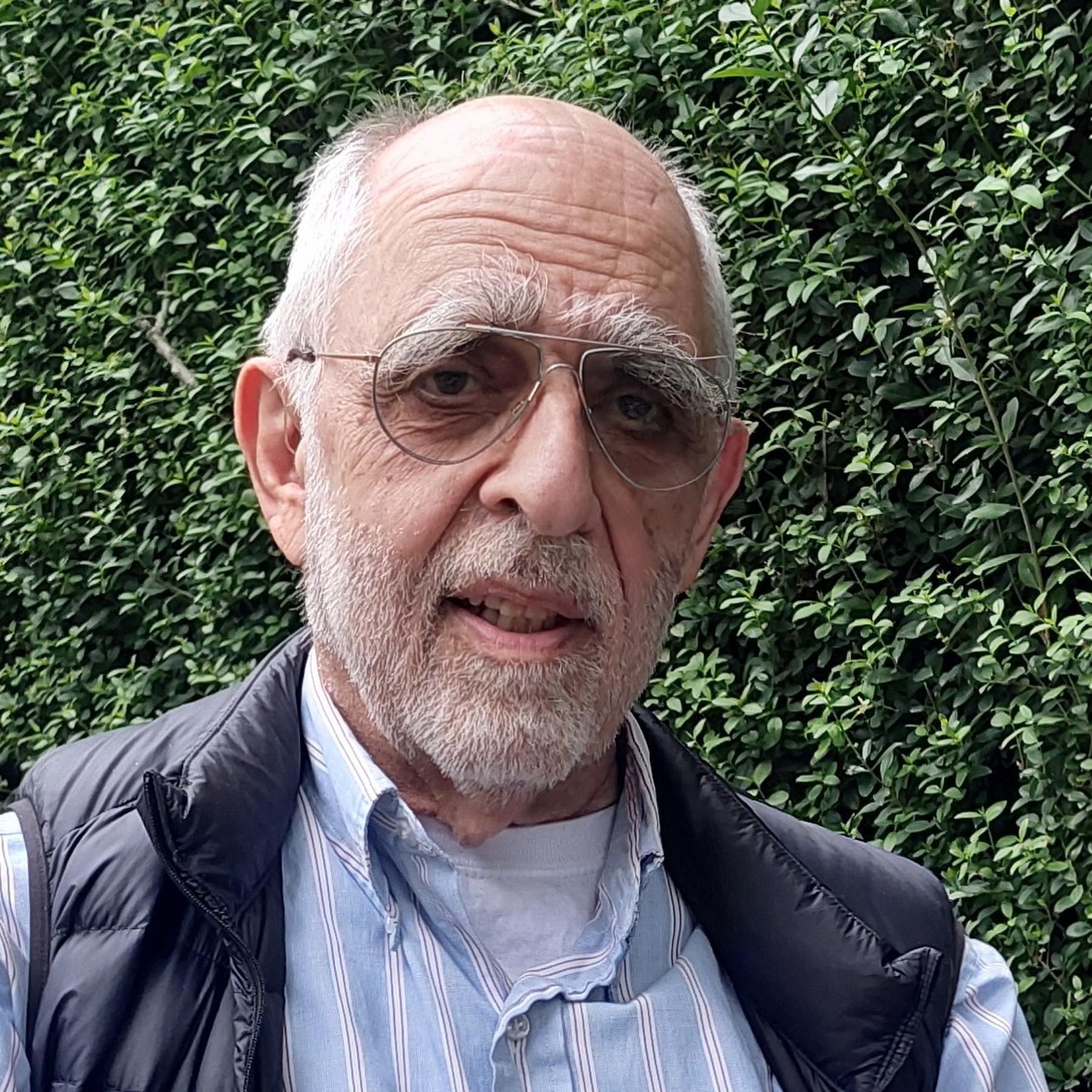 Michael Cullen, Bauhistoriker: Schnapsidee Reichtstagsverhüllung