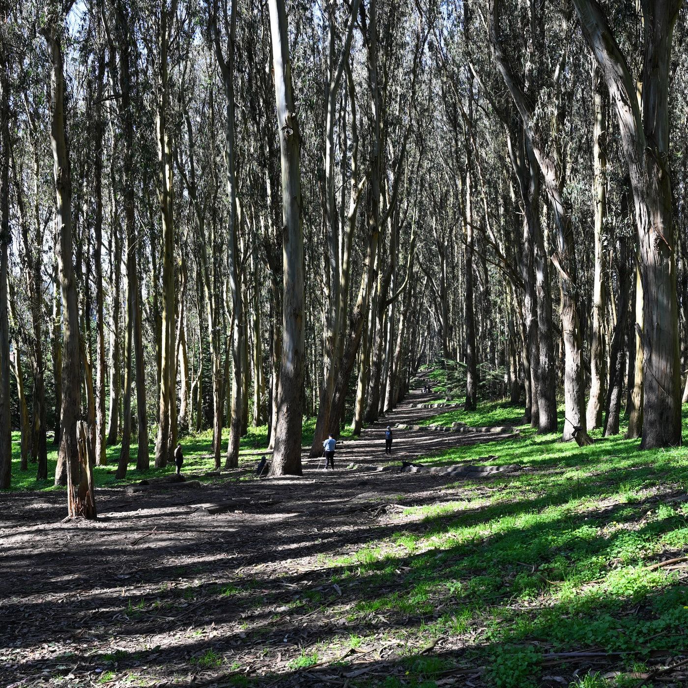 Michael Wittschier: Lebensphilosophie des Daoismus'