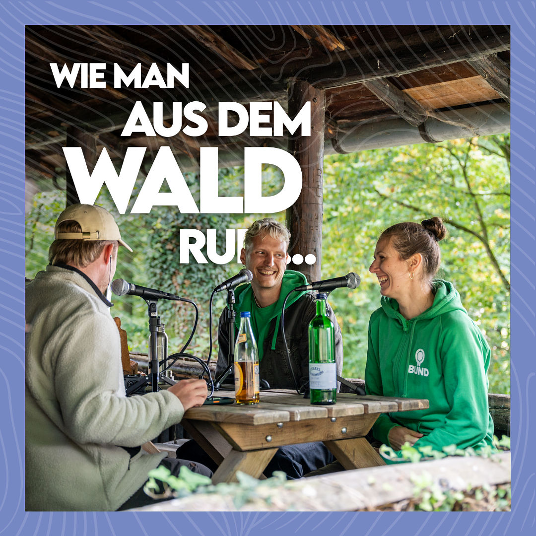 Mit Baldrian auf Katzensuche