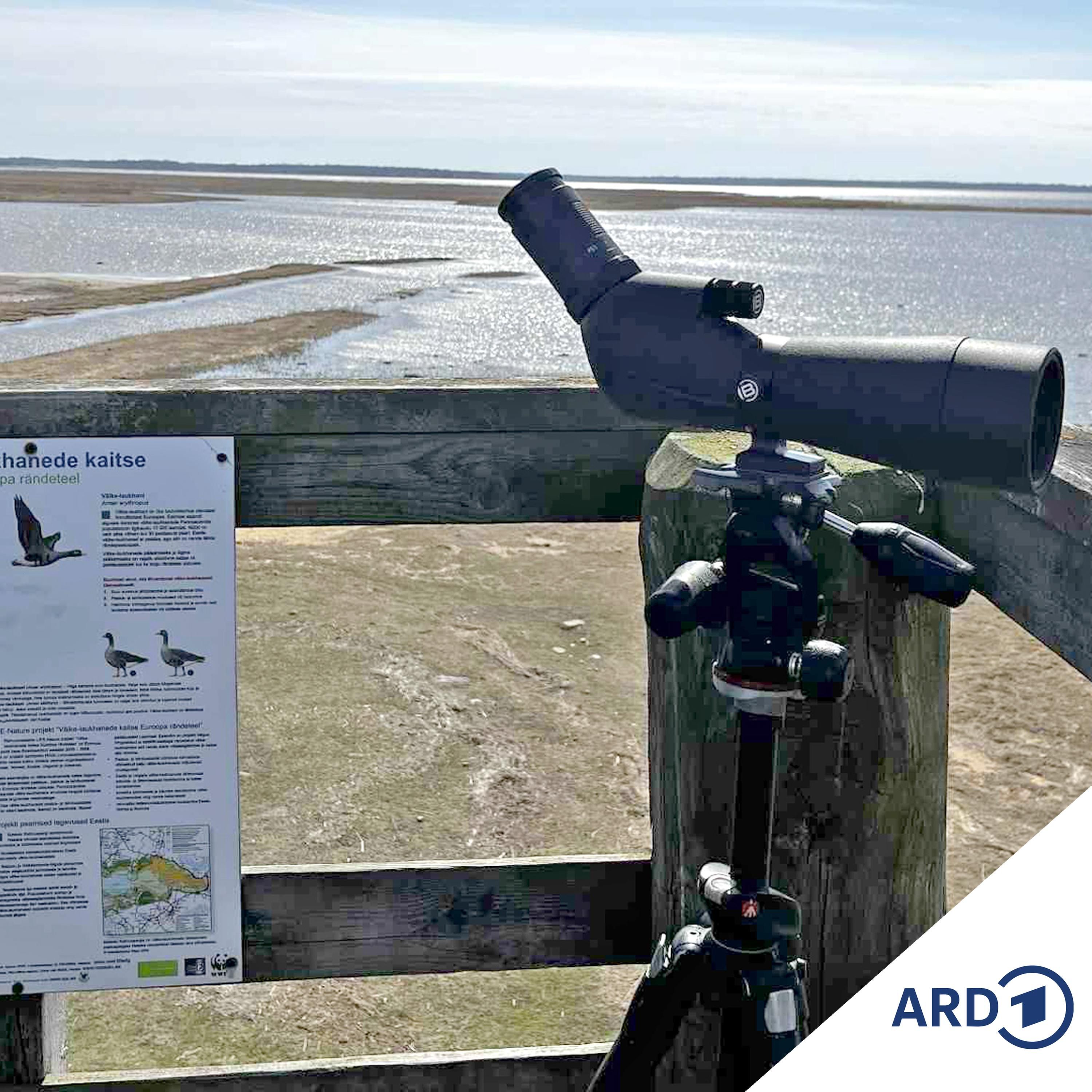 Mit dem Rad durch Estland