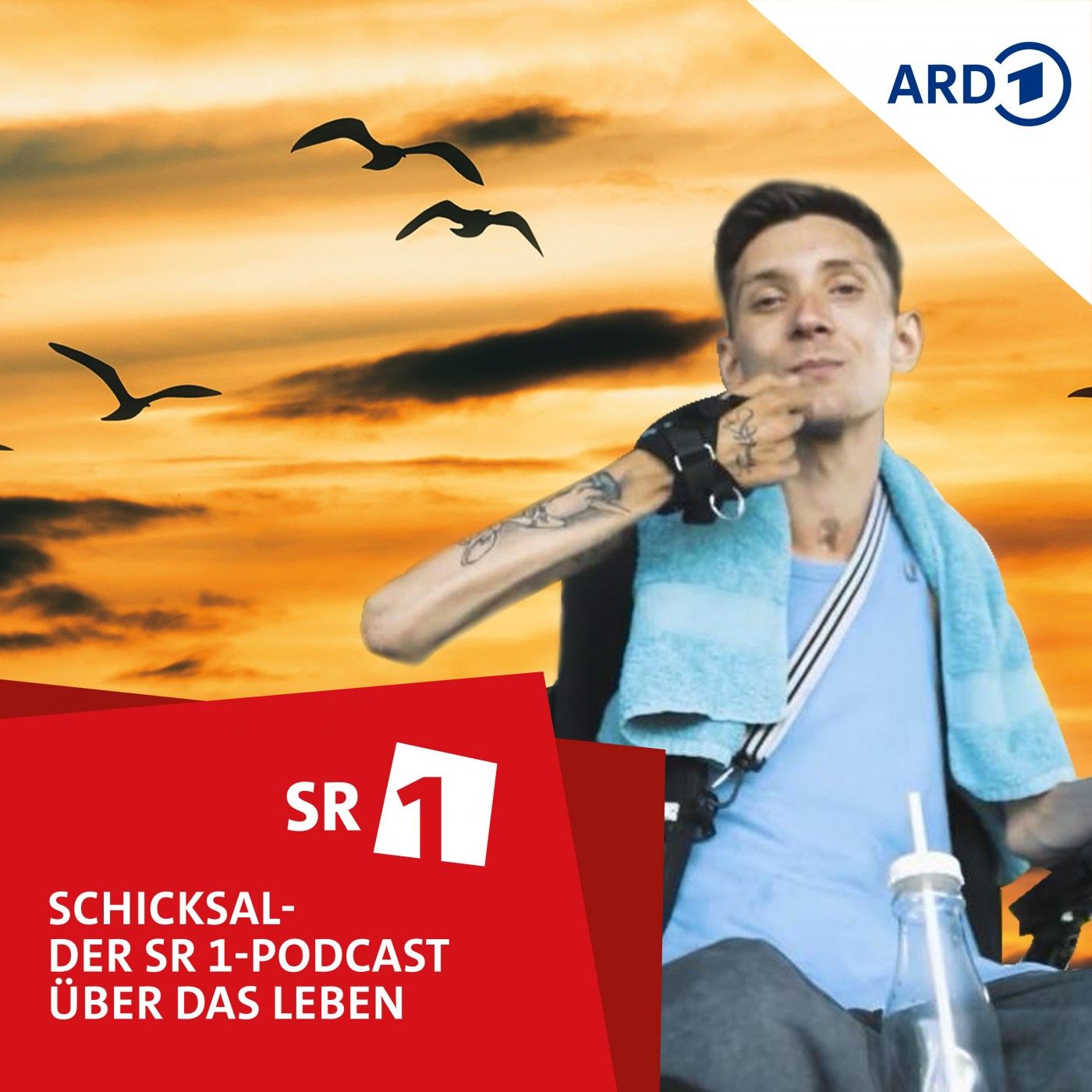 Mit dem Rollstuhl ins Rampenlicht