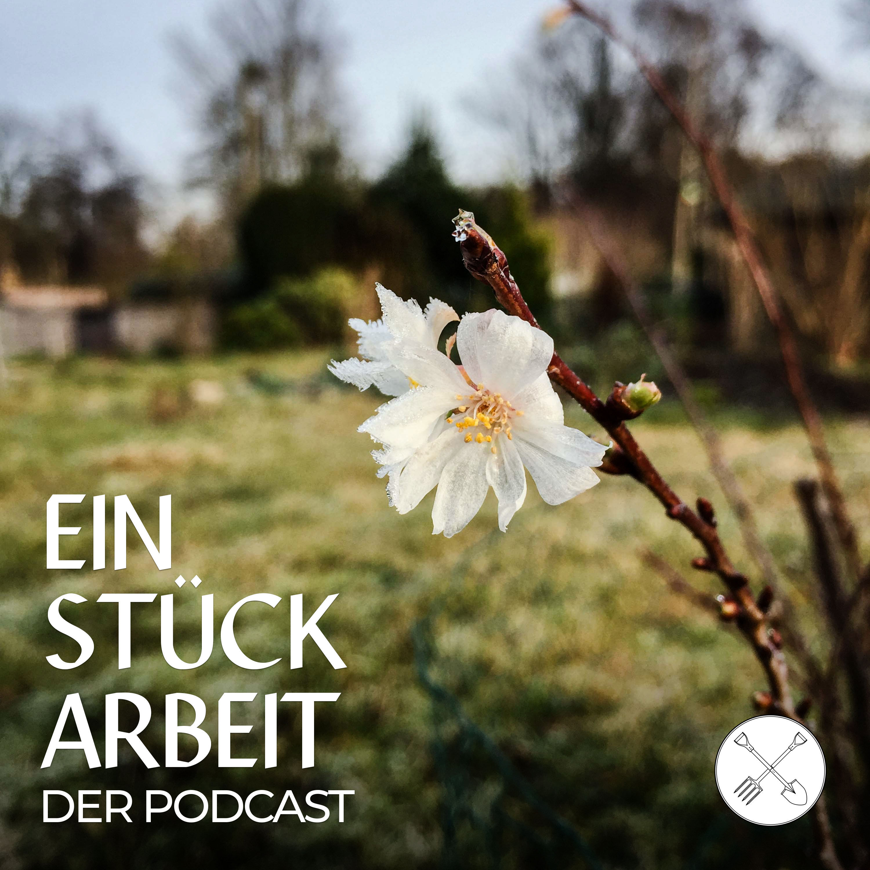 Mit grünen Vorsätzen ins neue Jahr 🔝🌱