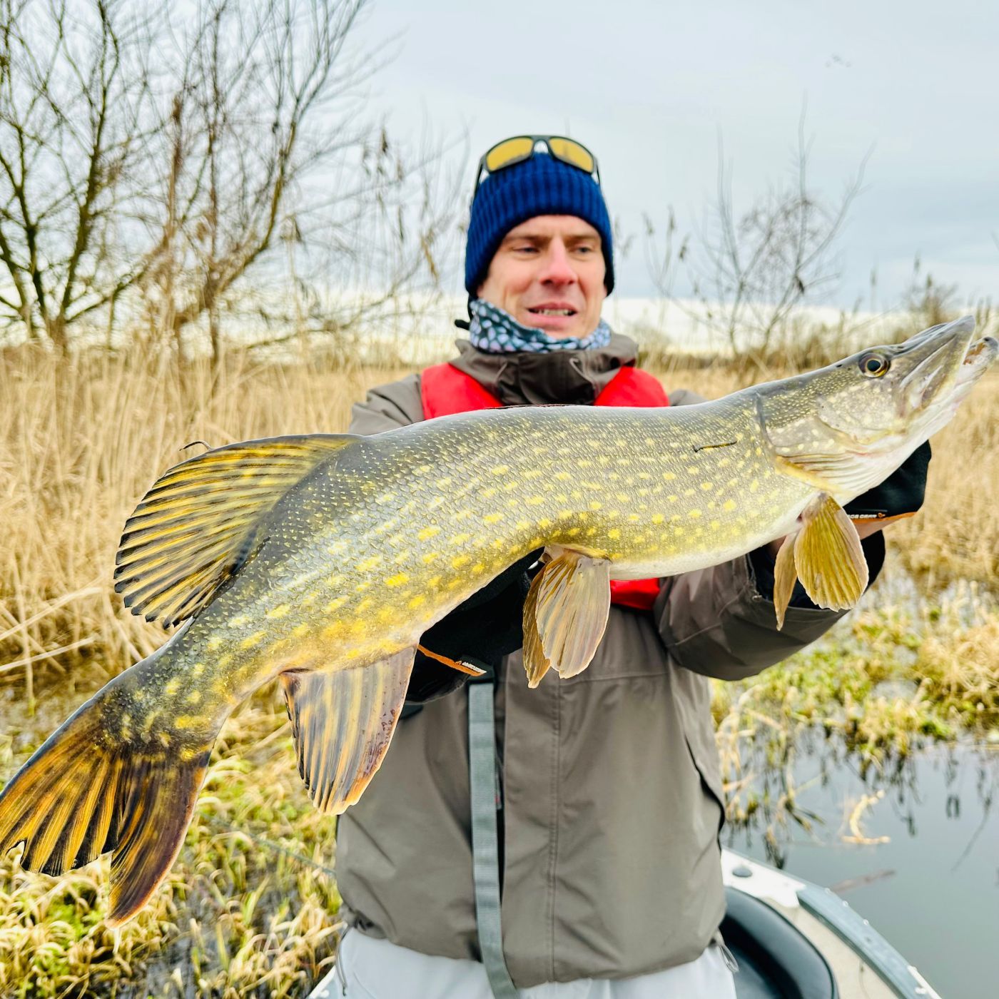 Mit Jerks? - So fangt Ihr Winterhechte im Flachwasser | #166