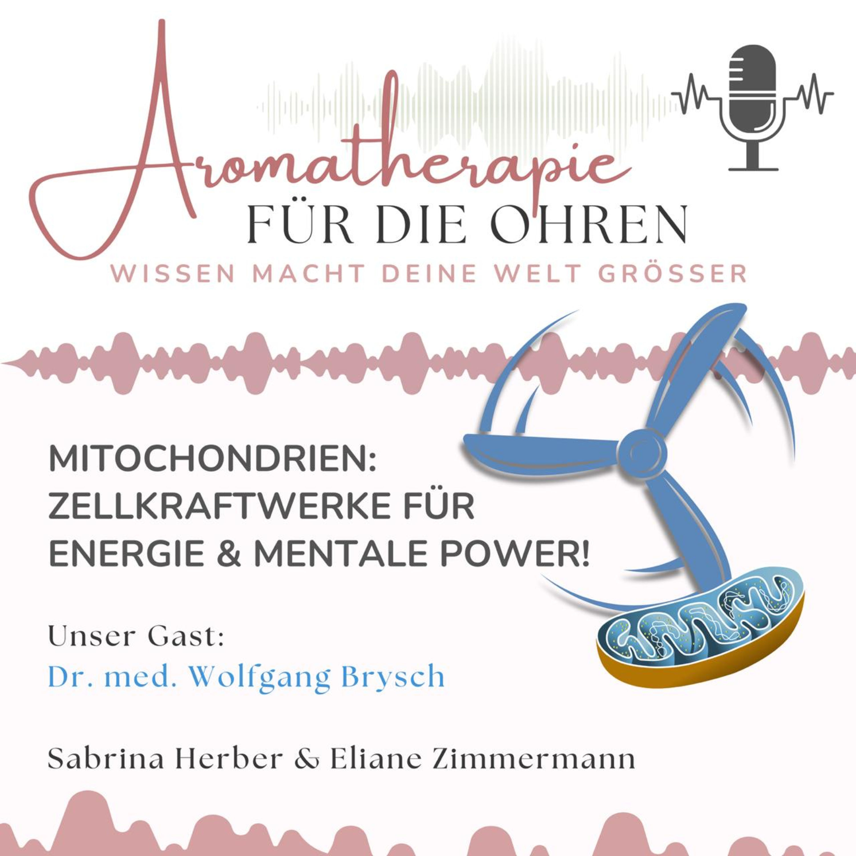 Mitochondrien - Zellkraftwerke für Energie & mentale Power