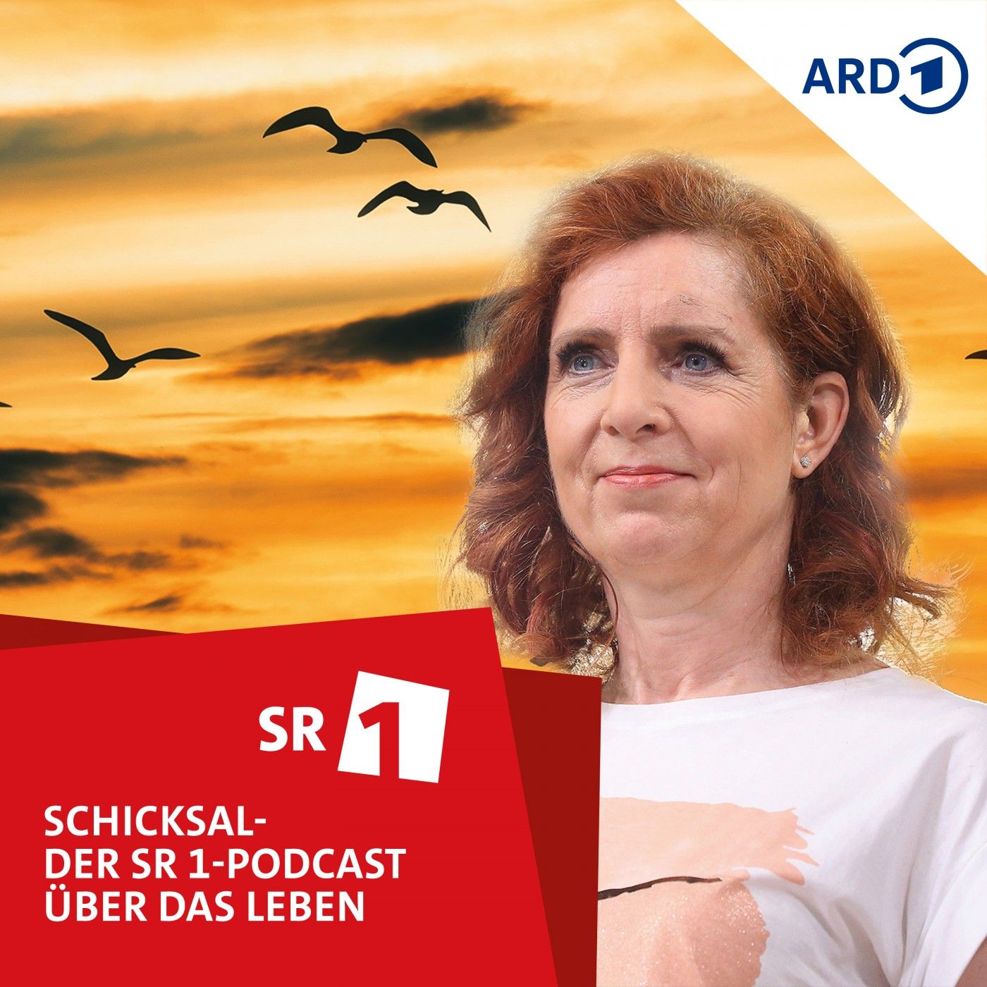 Monica Lierhaus: Vom TV-Star zum Pflegefall und zurück