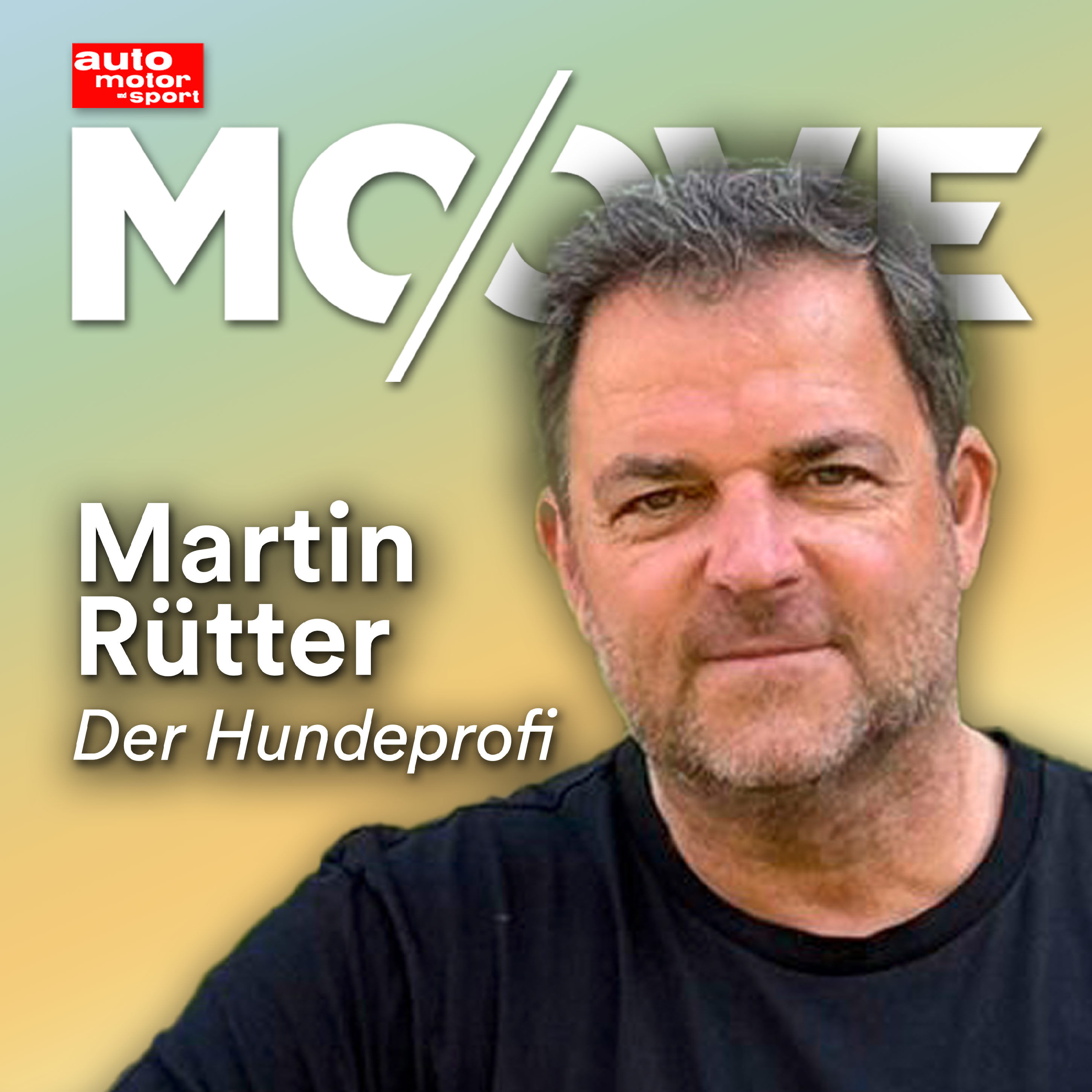 Moove | E-Auto und Hund - passt das? Wir fragen Hundeprofi Martin Rütter