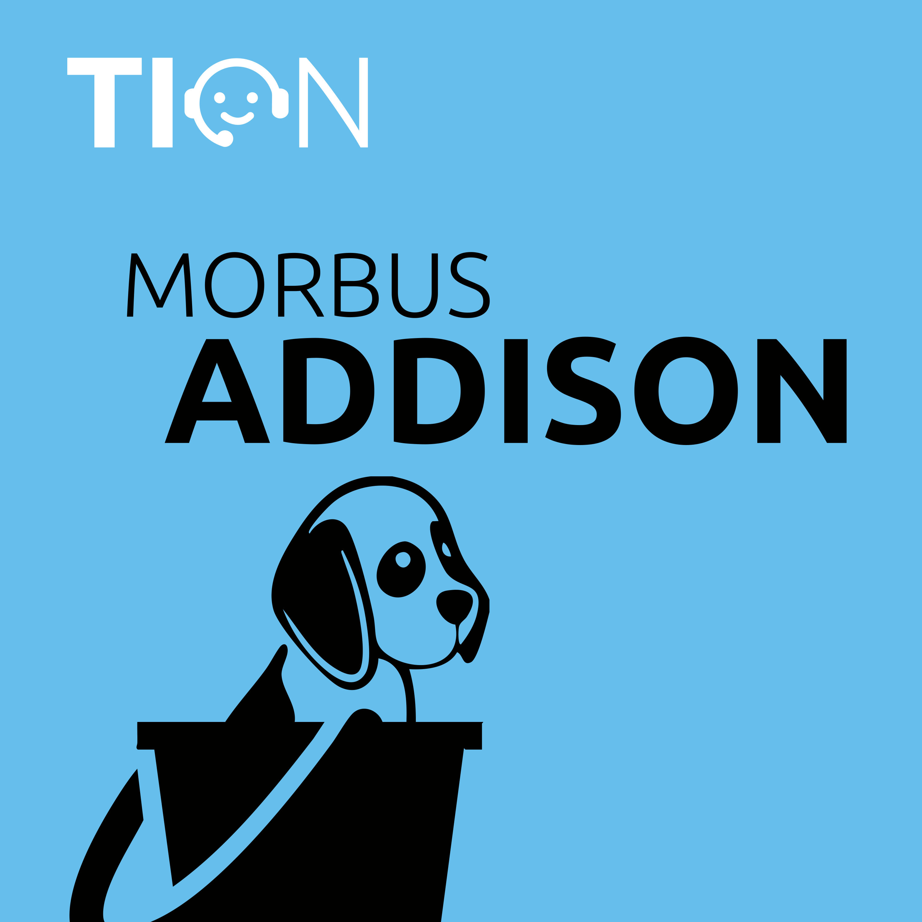 Morbus Addison und Addison-Krise bei Hunden