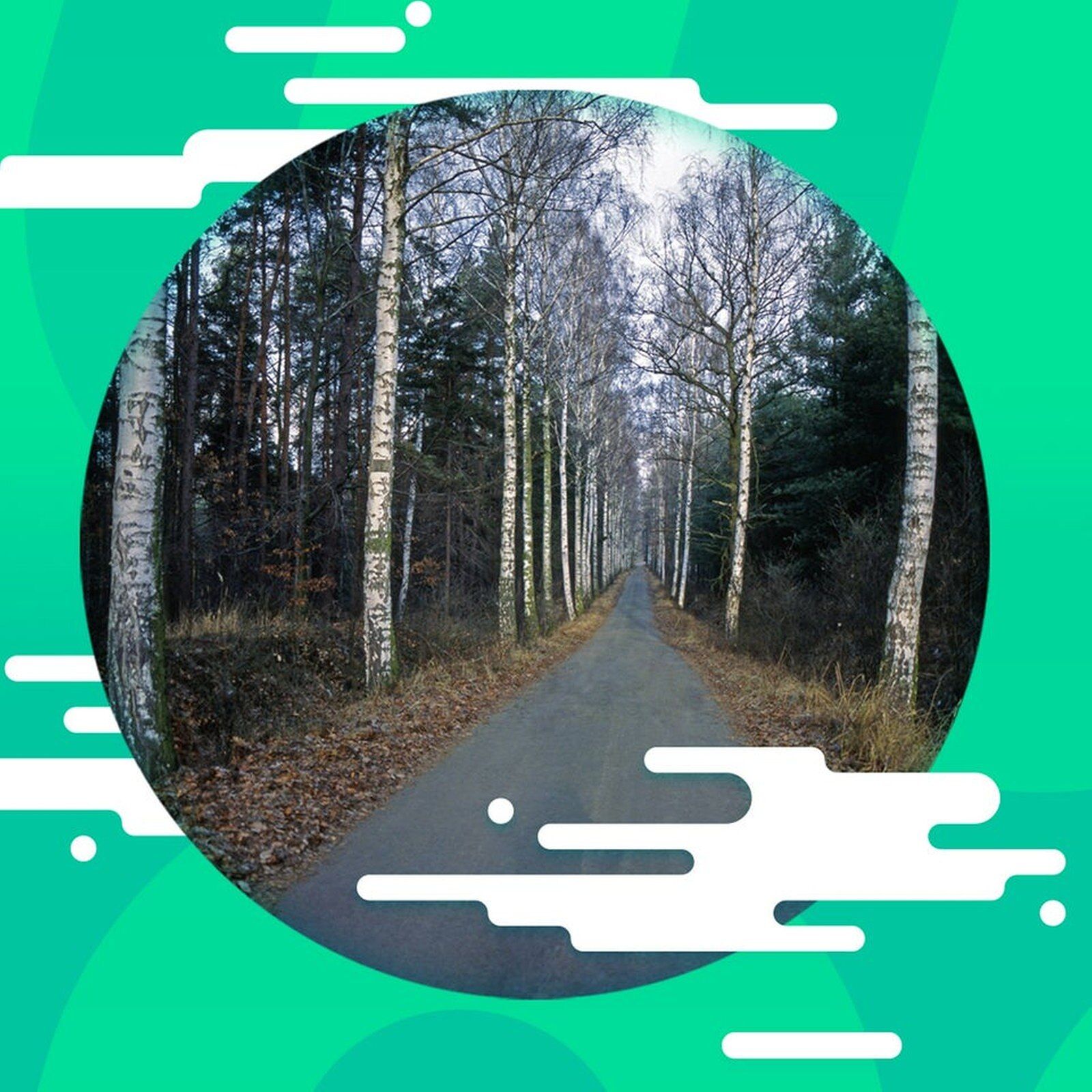 Mord im Colditzer Wald