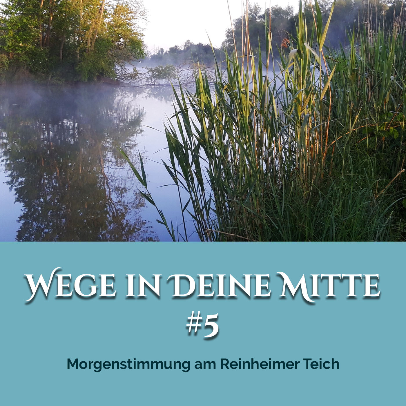 Morgenstimmung am Reinheimer Teich (Episode 5)