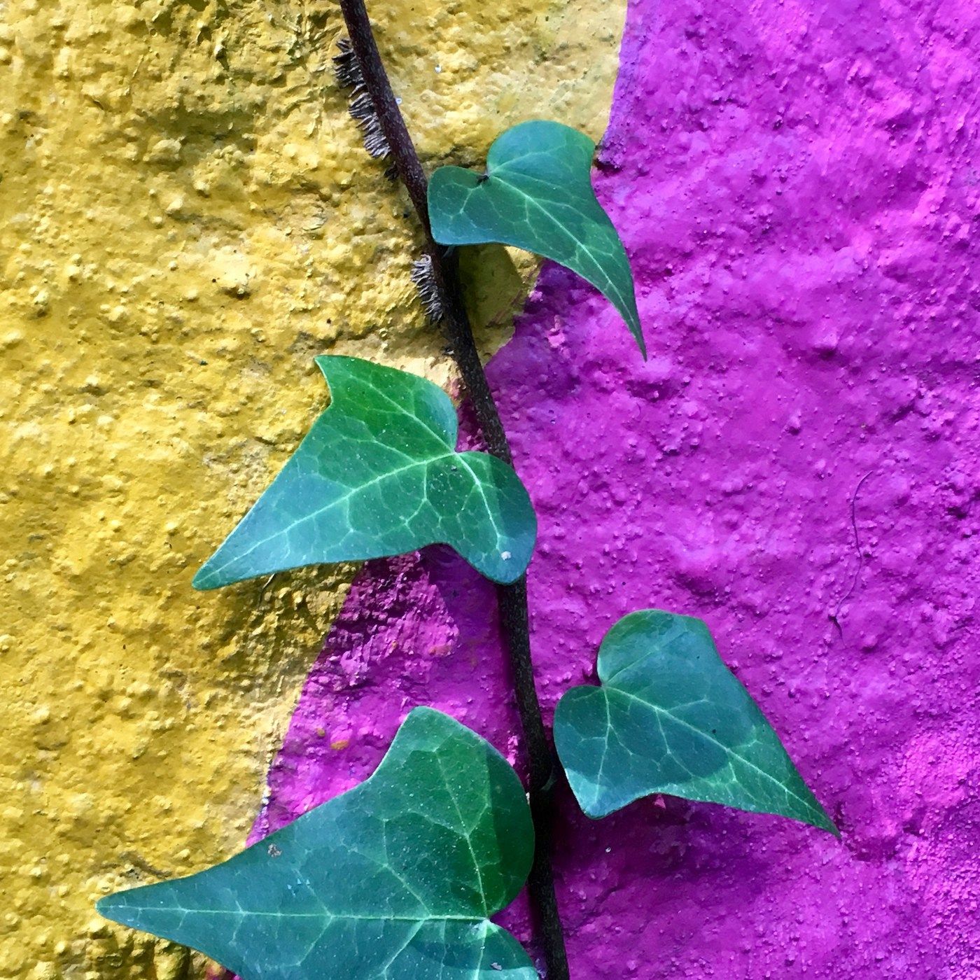 MR 22 - Resilienz auch für den Ruhestand