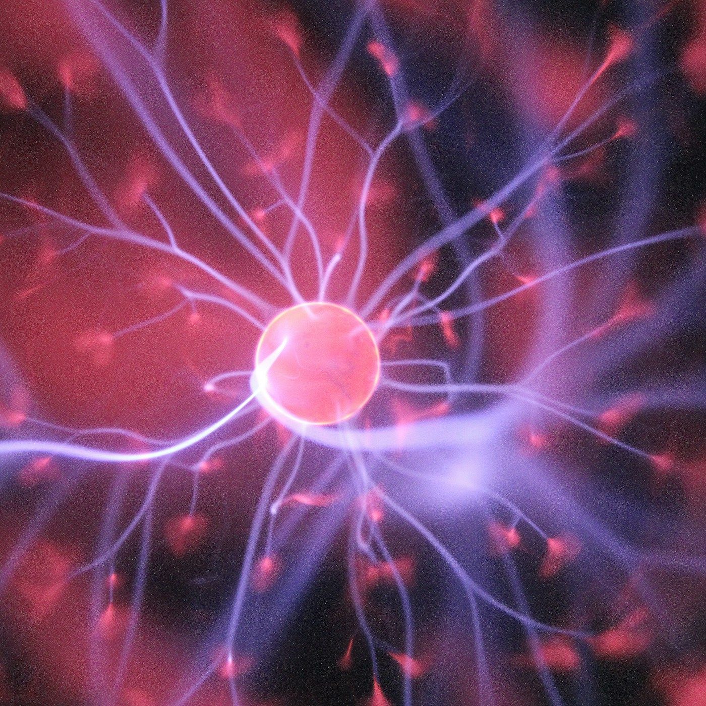 MR 51 - Das Gehirn und der Ruhestand