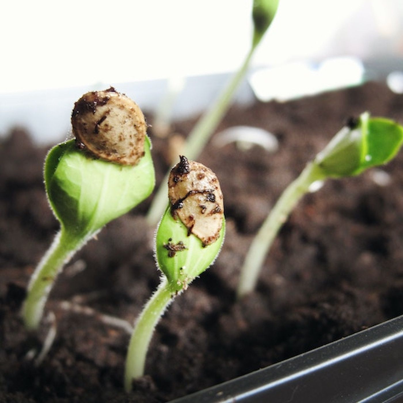 MR 8 - Was willst du werden ...