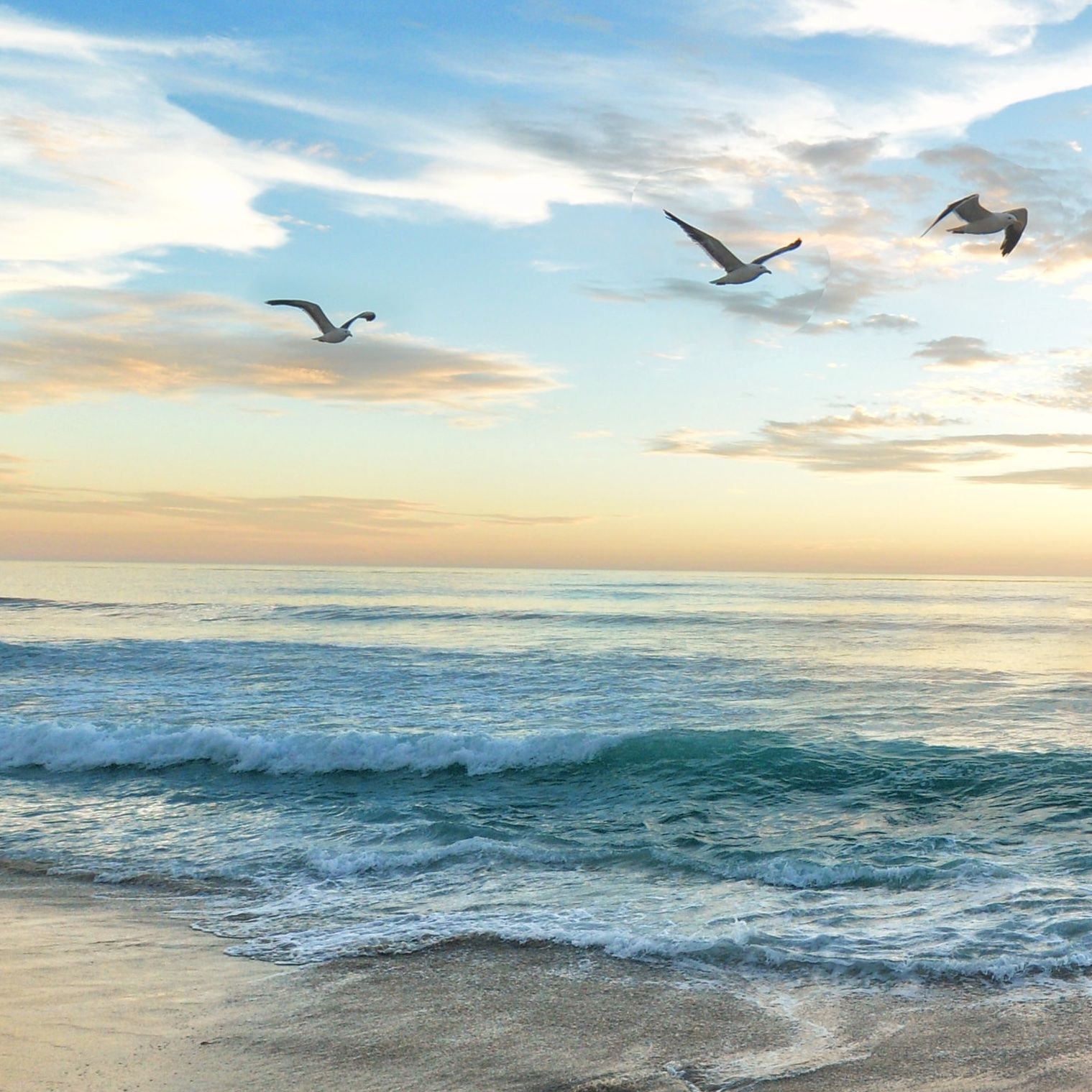 MR 9 - Urlaub vom Ruhestand?!