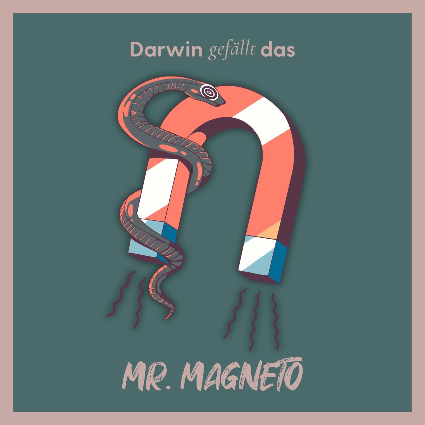 Mr. Magneto