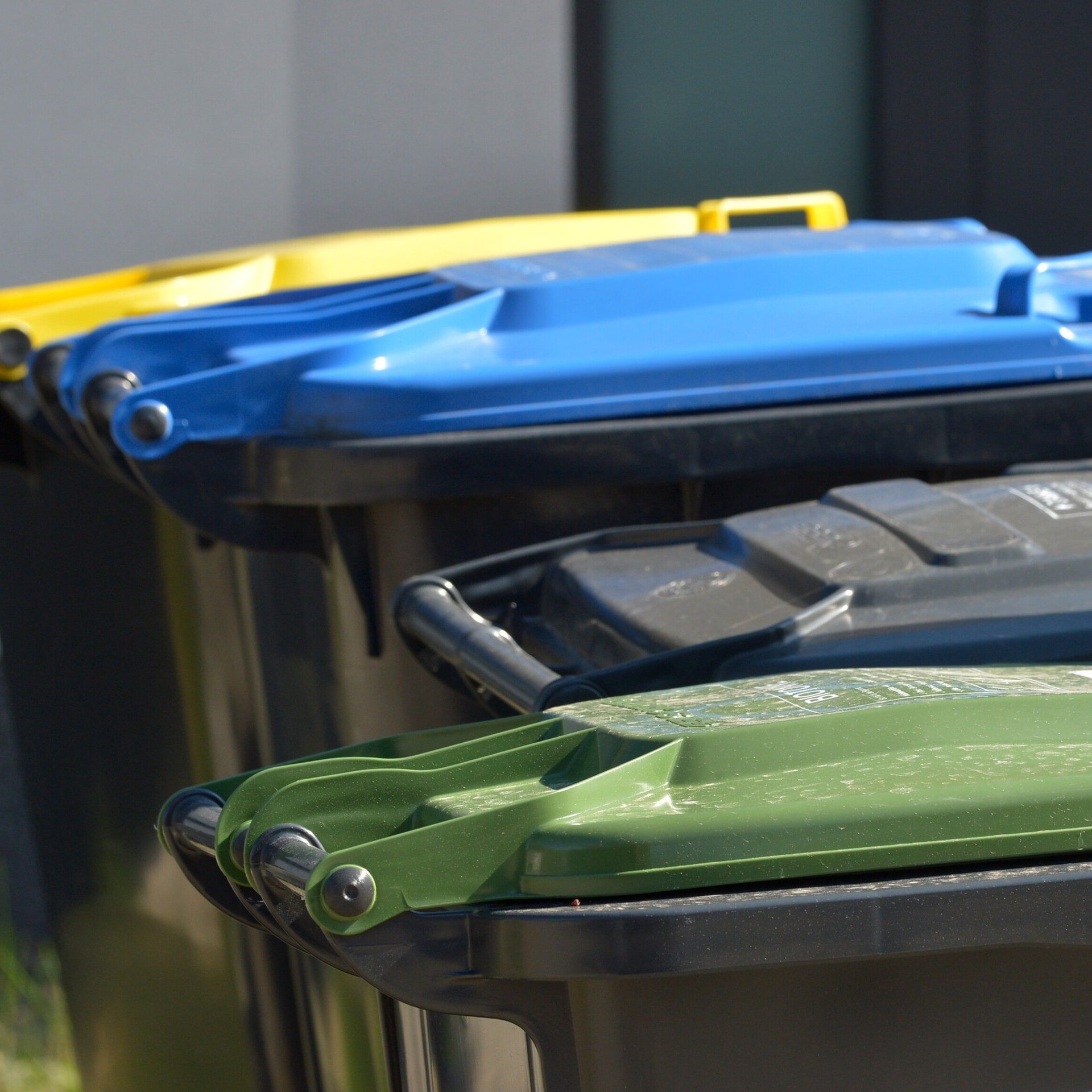 Mülltrennung: Wie funktioniert sie besser?