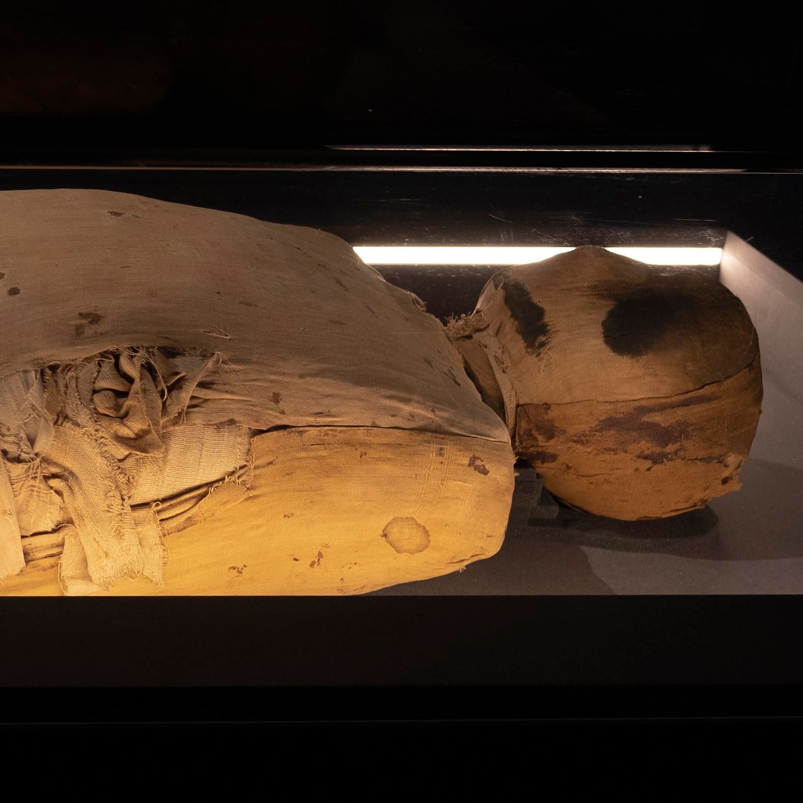 Museums-Podcast – Folge 23: Ägyptische Mumien
