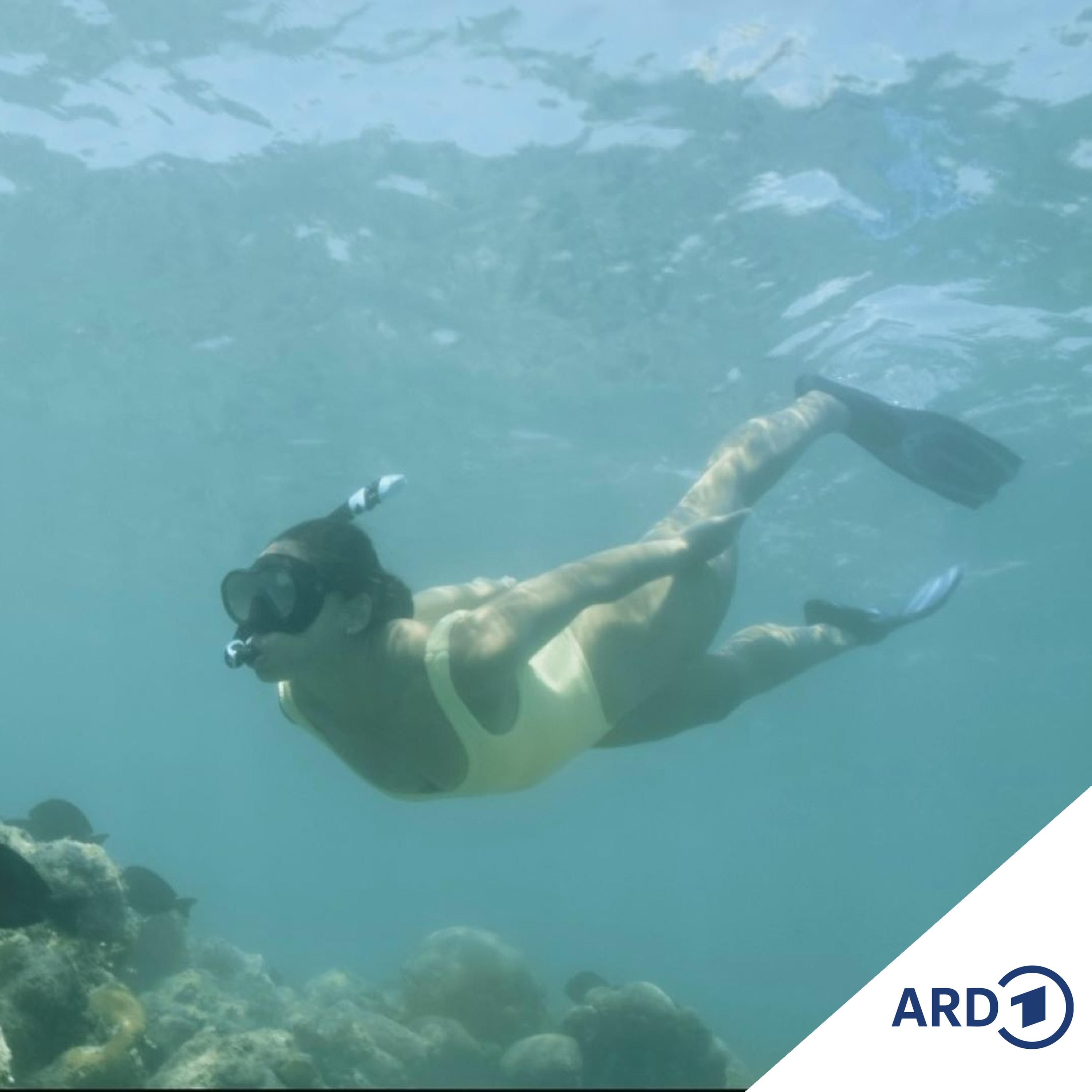 Musik und Filme (3/4)