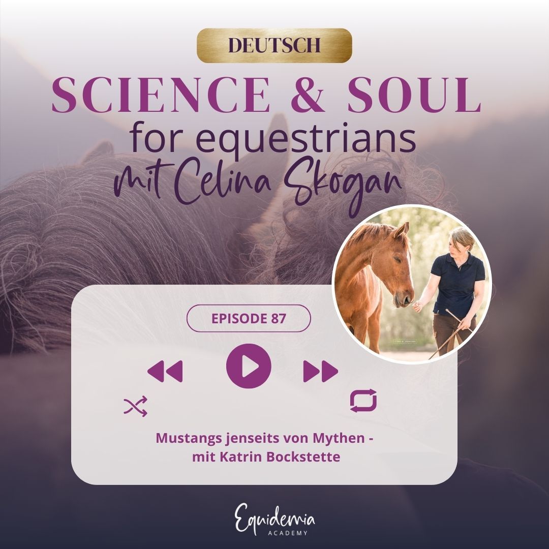 Mustangs jenseits von Mythen - mit Katrin Bockstette
