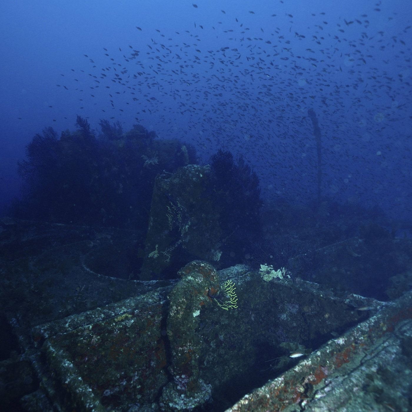 Mythen der Tiefsee - Welt der Toten, Monster und Götter
