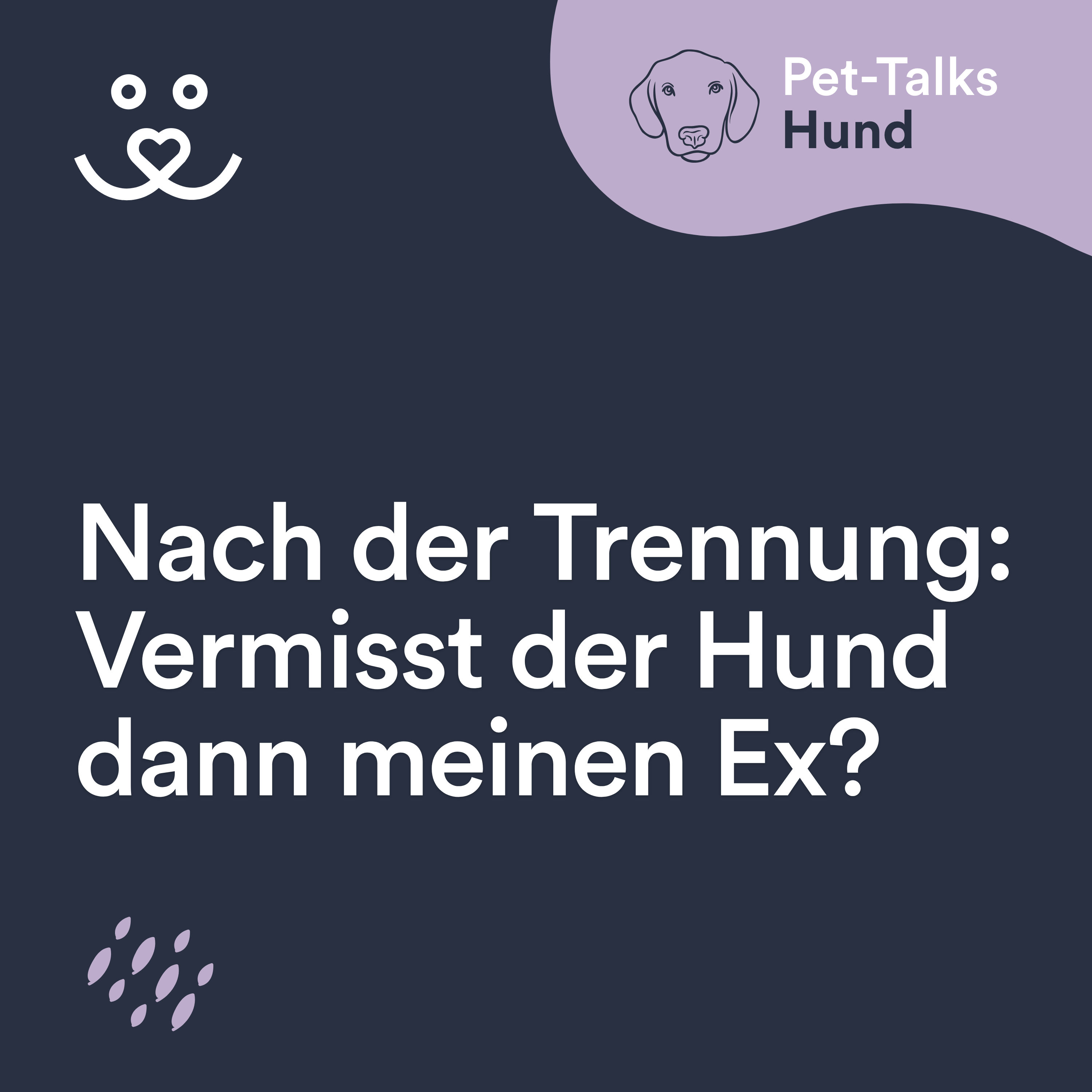 Nach der Trennung: Vermisst der Hund dann meinen Ex?