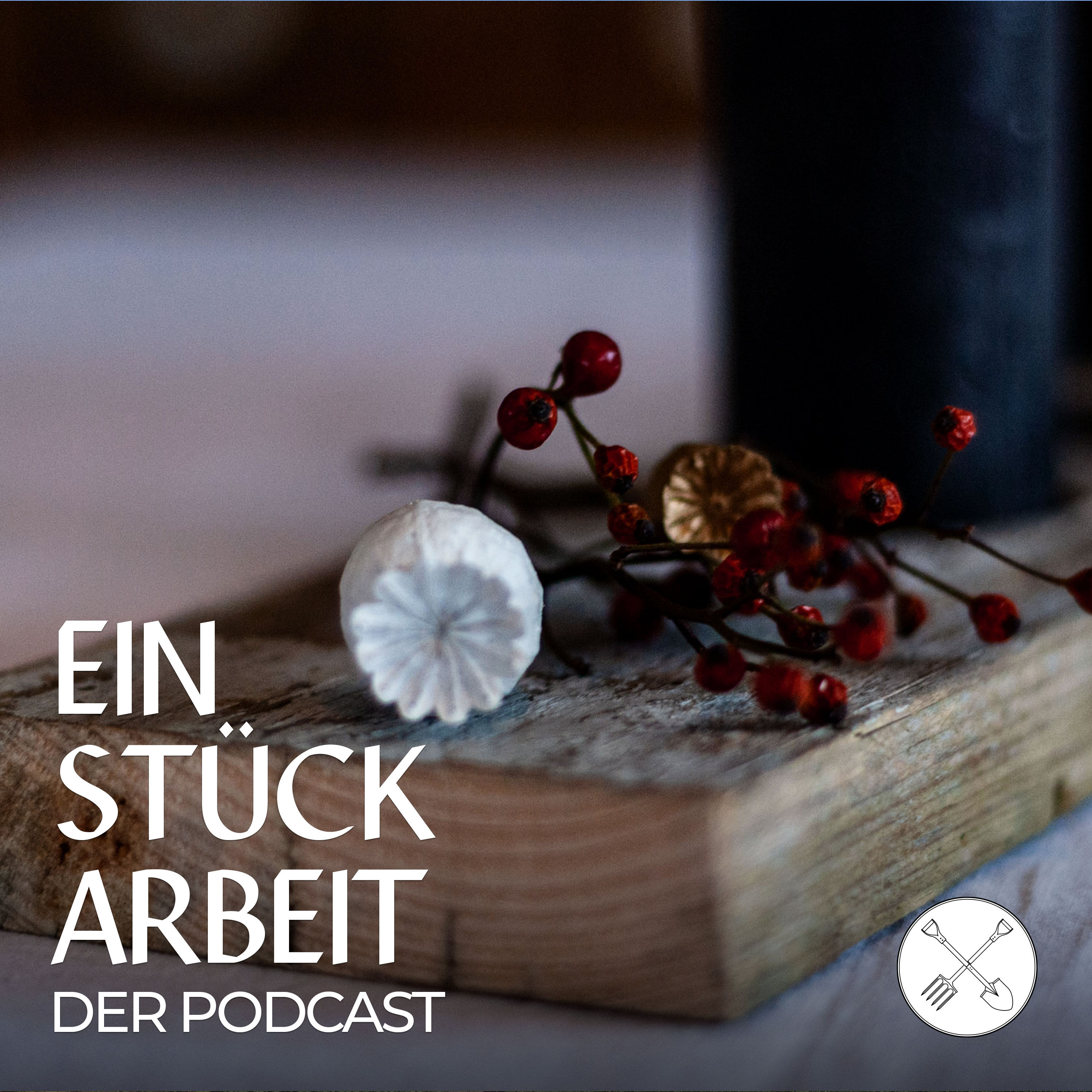 Nachhaltig durch den Advent 🎄