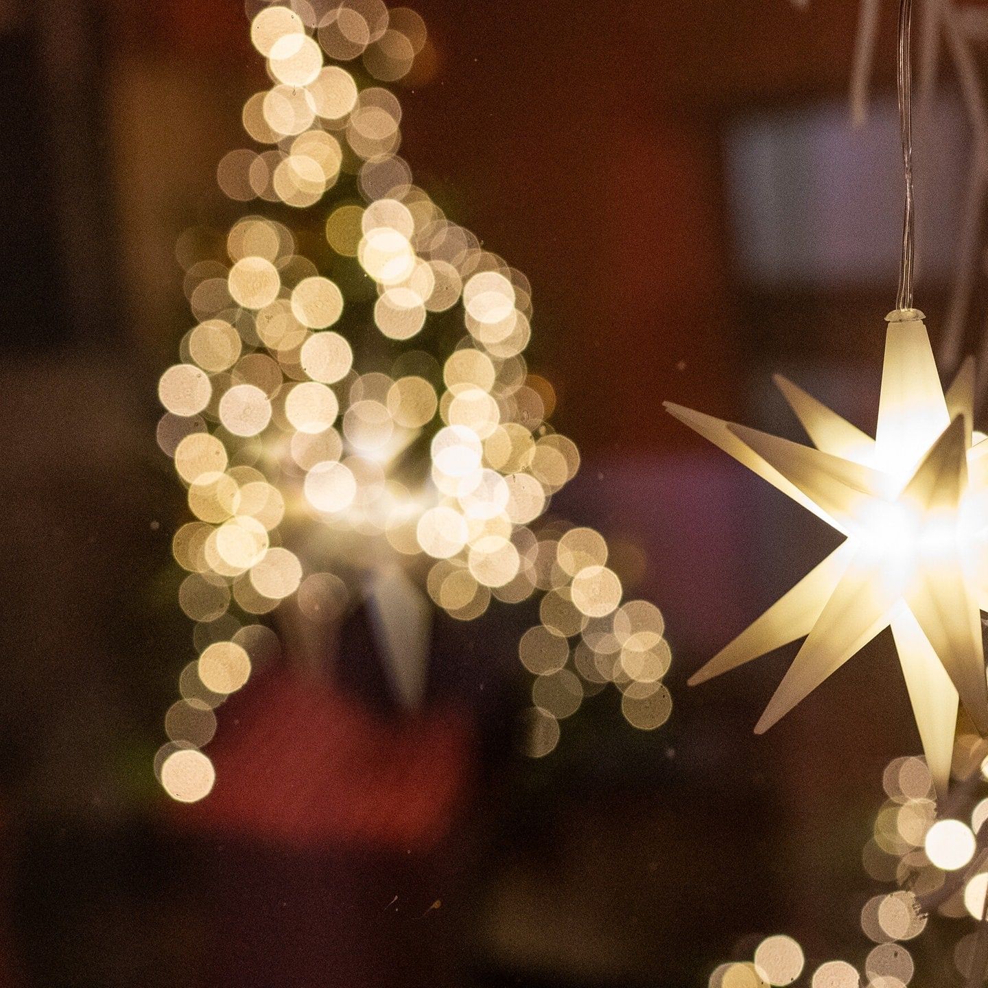 Nachhaltige Weihnachten: Festliche Beleuchtung geht auch umweltfreundlich