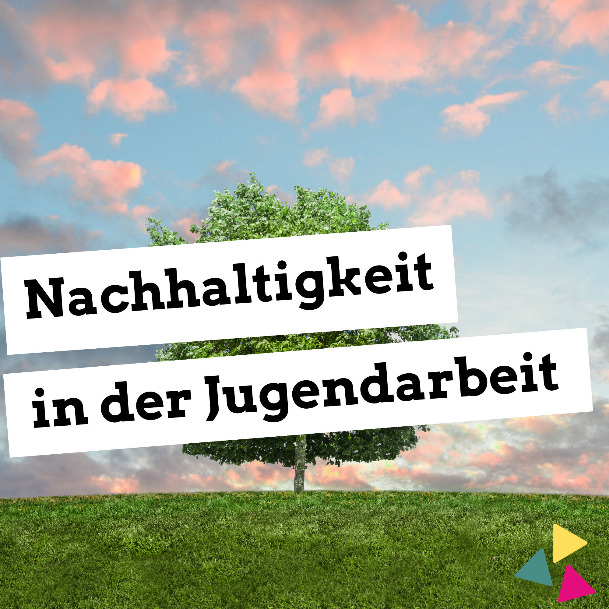Nachhaltigkeit in der Jugendarbeit