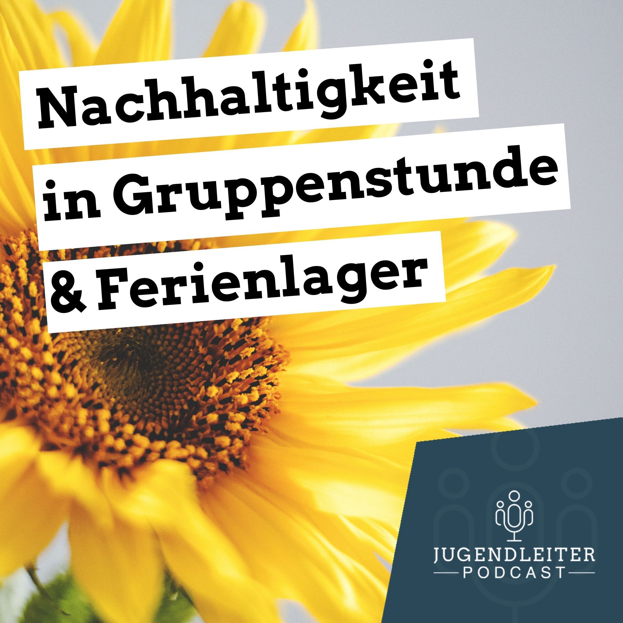 Nachhaltigkeit in der Jugendarbeit / Teil 2