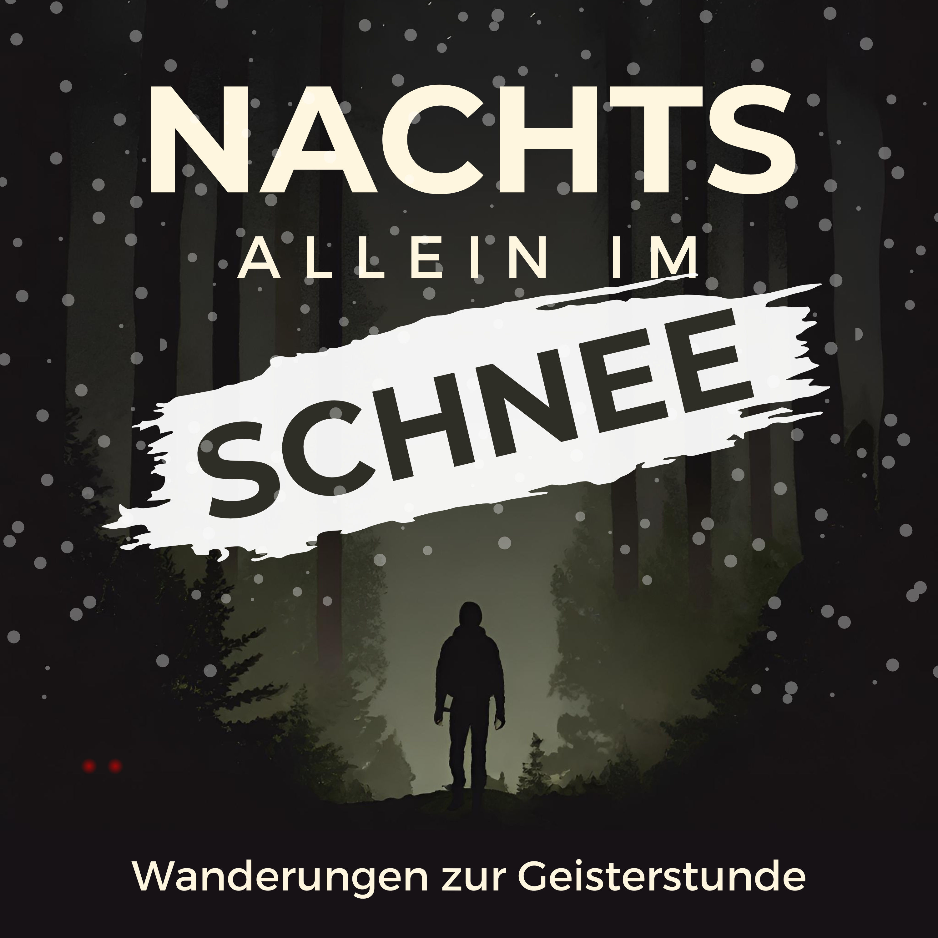 Nachts allein im Wald #14 - Nachtwanderung im Schnee