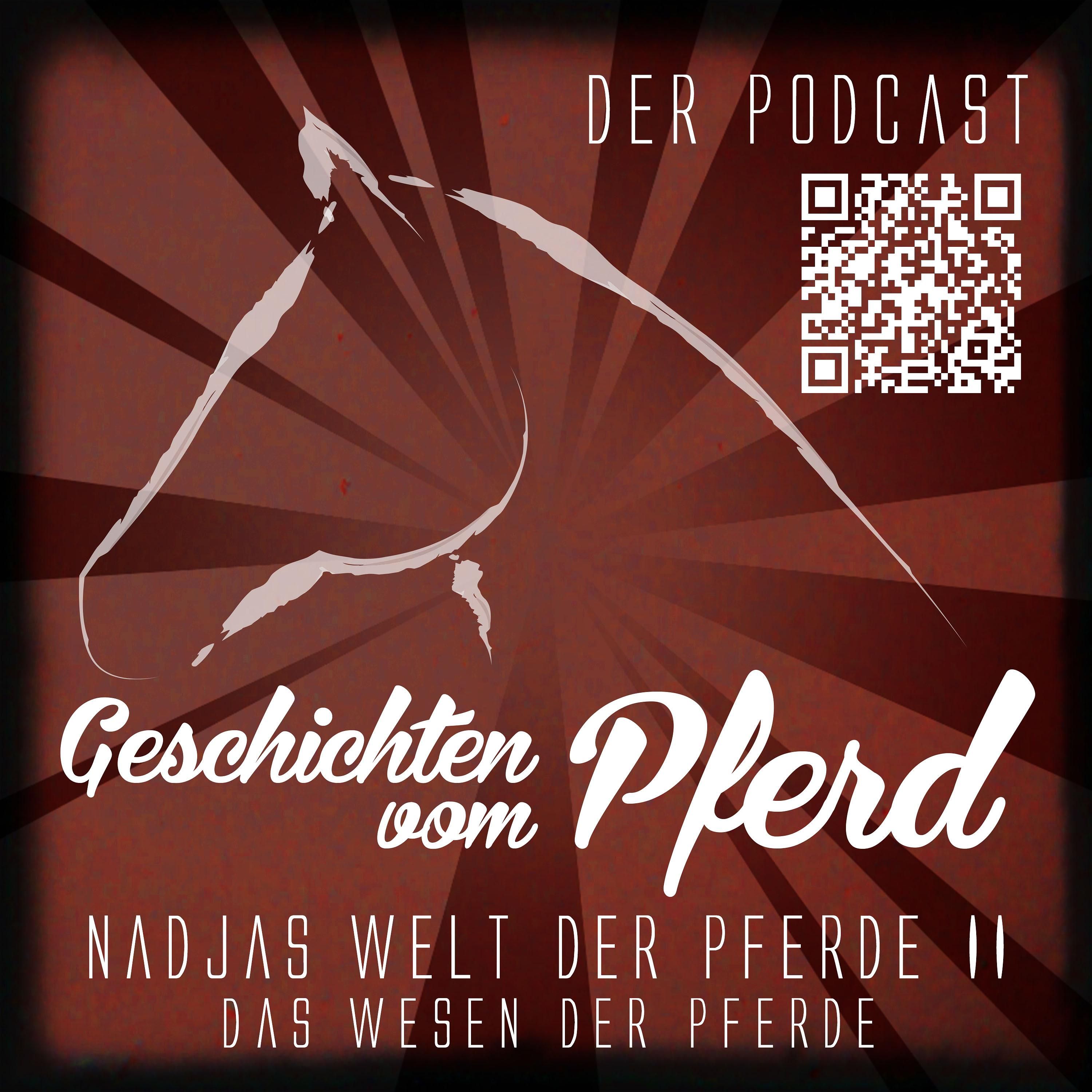 Nadjas Welt der Pferde