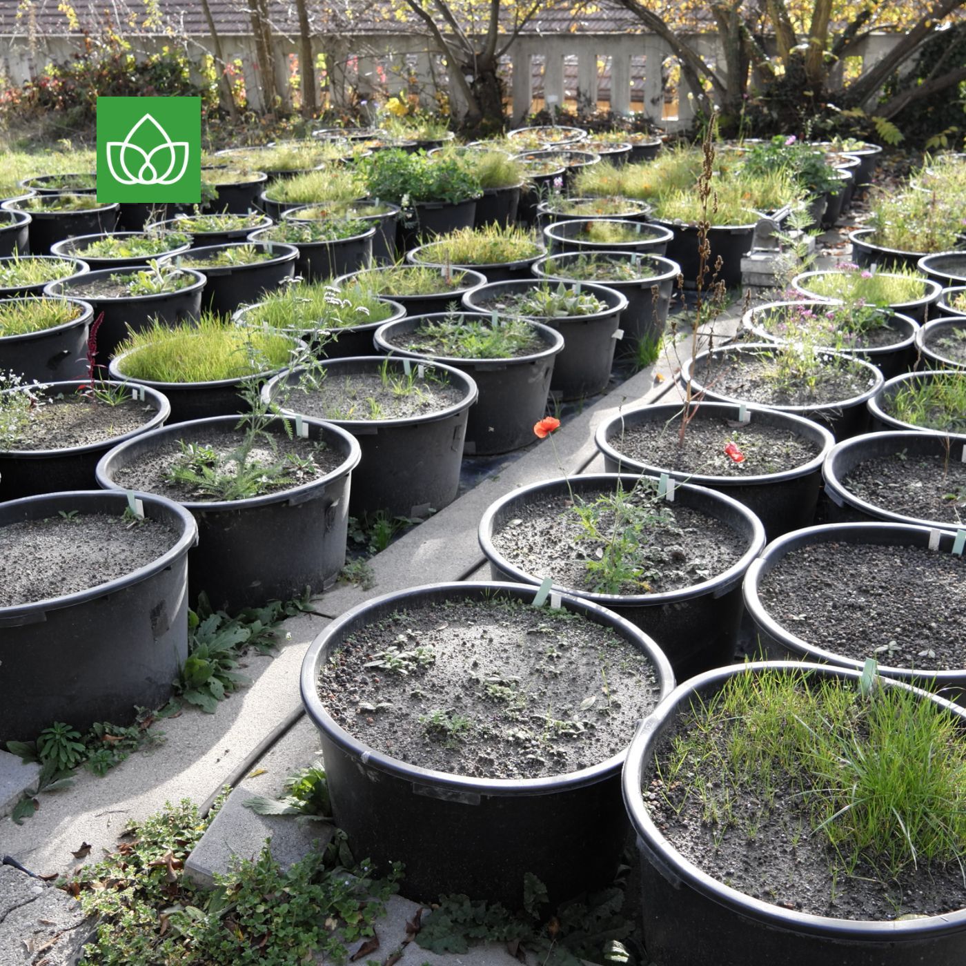 Natur braucht Stadt: Biodiversität in 10 Stationen