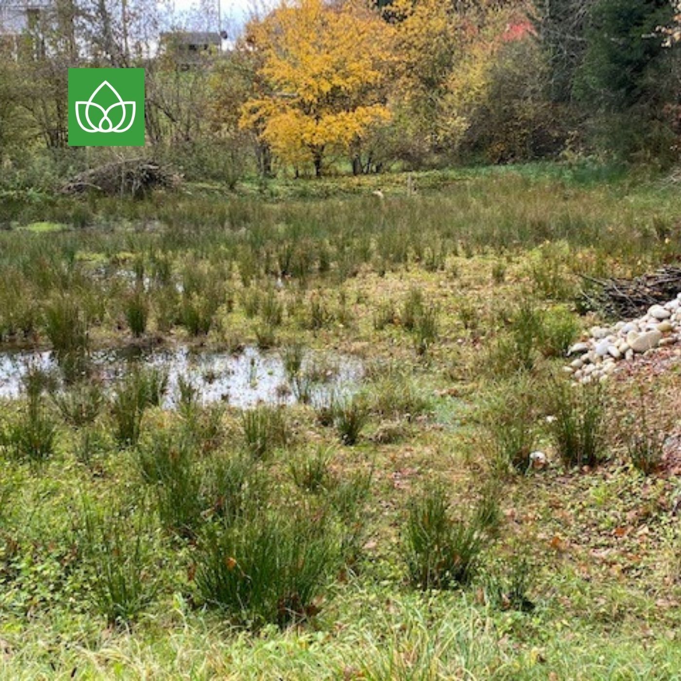 Natur schützen oder Natur födern? Zu Besuch im Smaragdgebiet Oberaargau.
