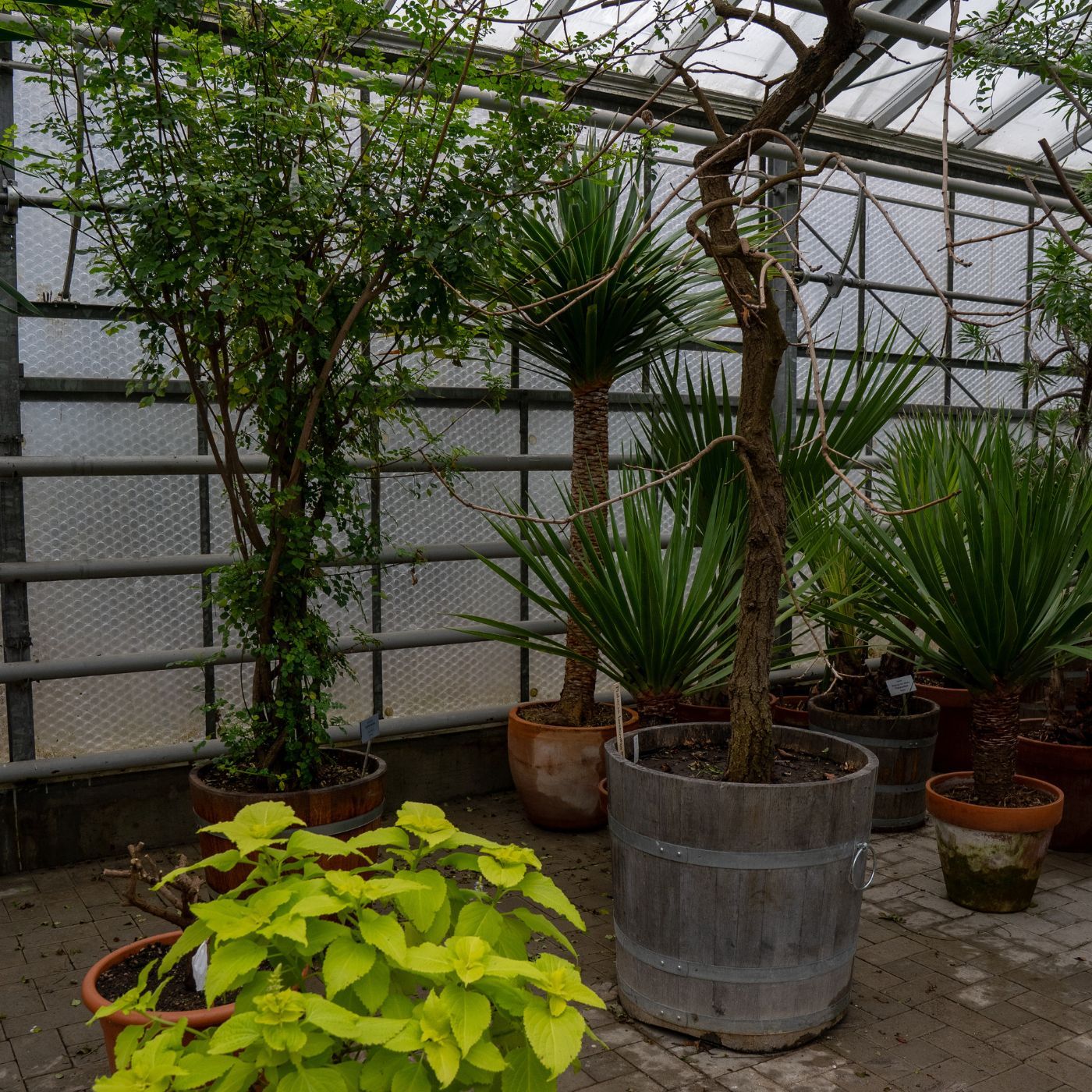 Natur - Stadt - Zukunft