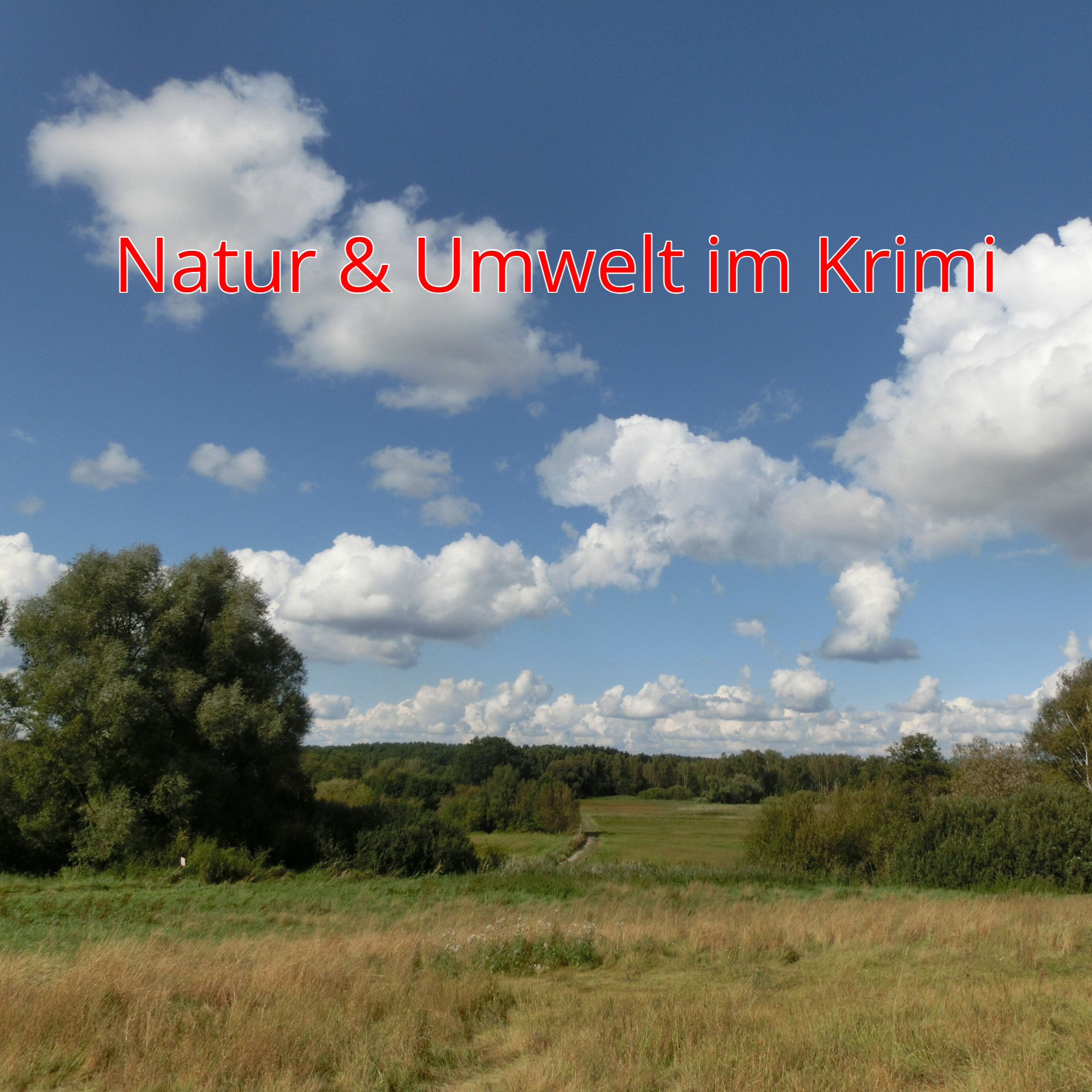 Natur & Umwelt im Krimi