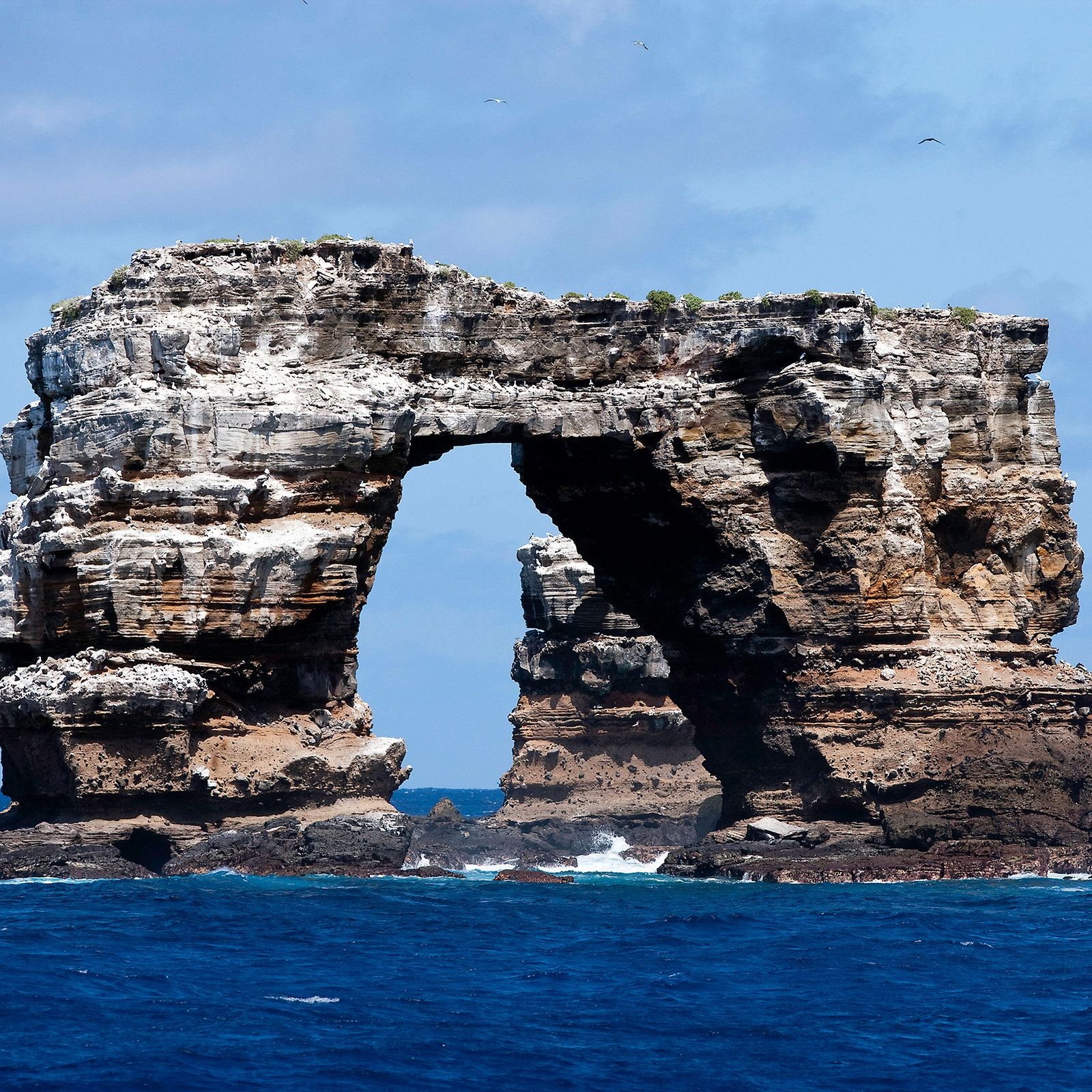 Naturparadies in Gefahr: Die Galapagos-Inseln