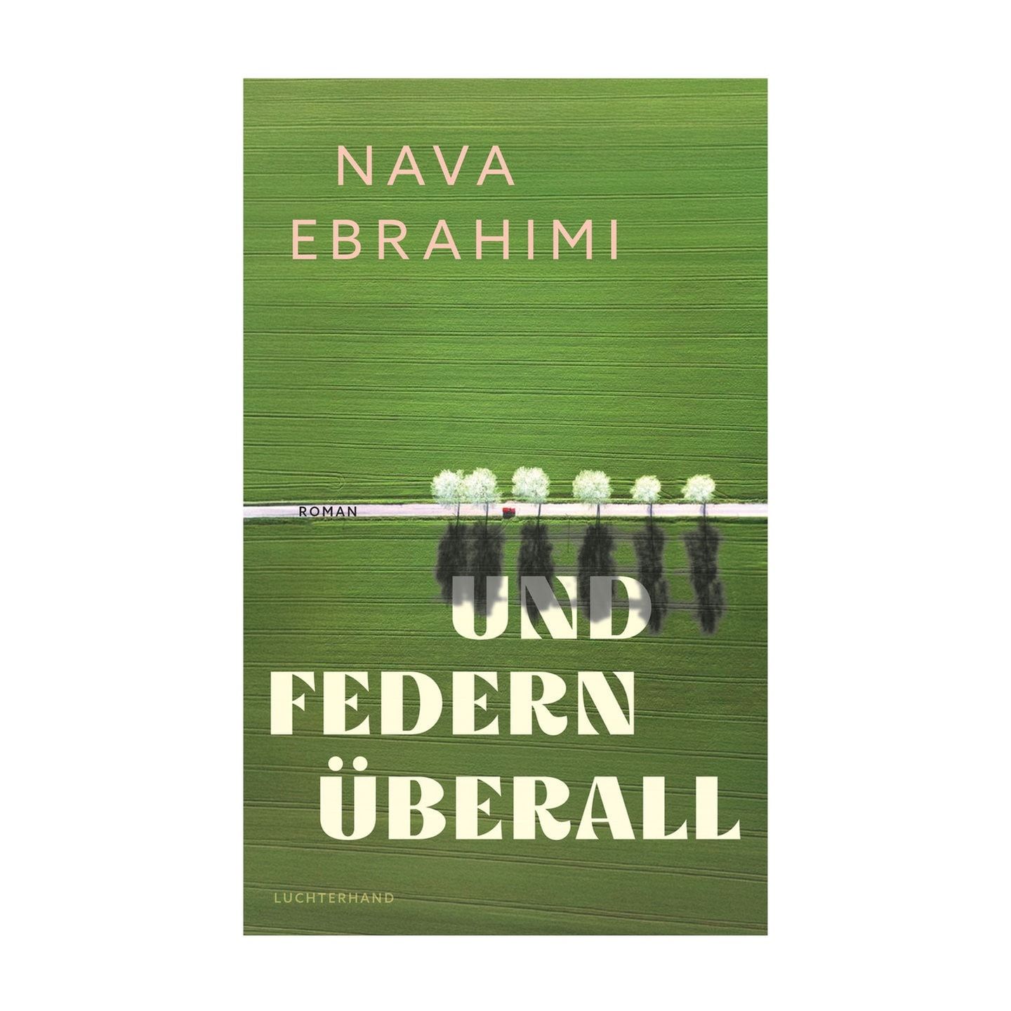 Nava Ebrahimi: Und Federn überall