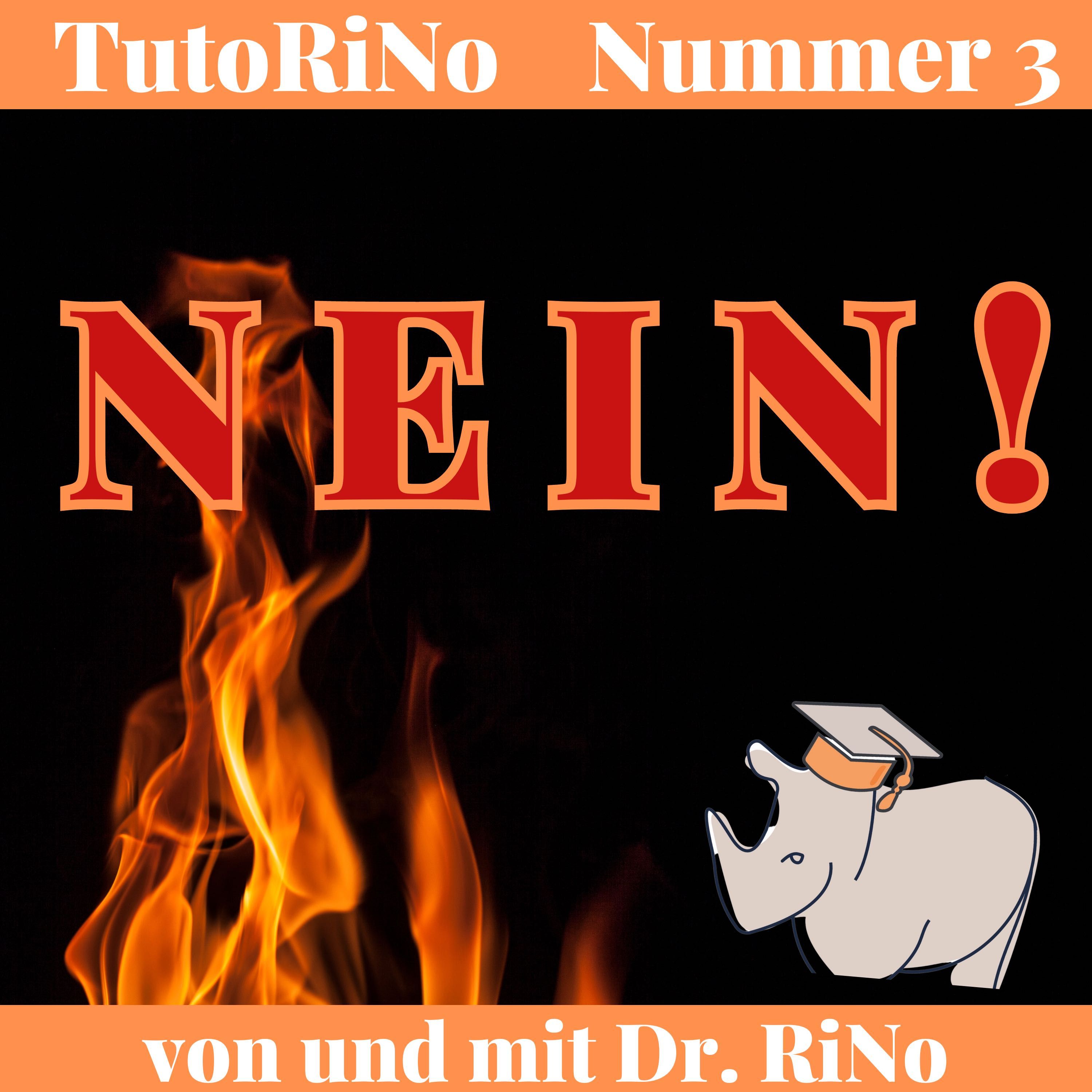 NEIN