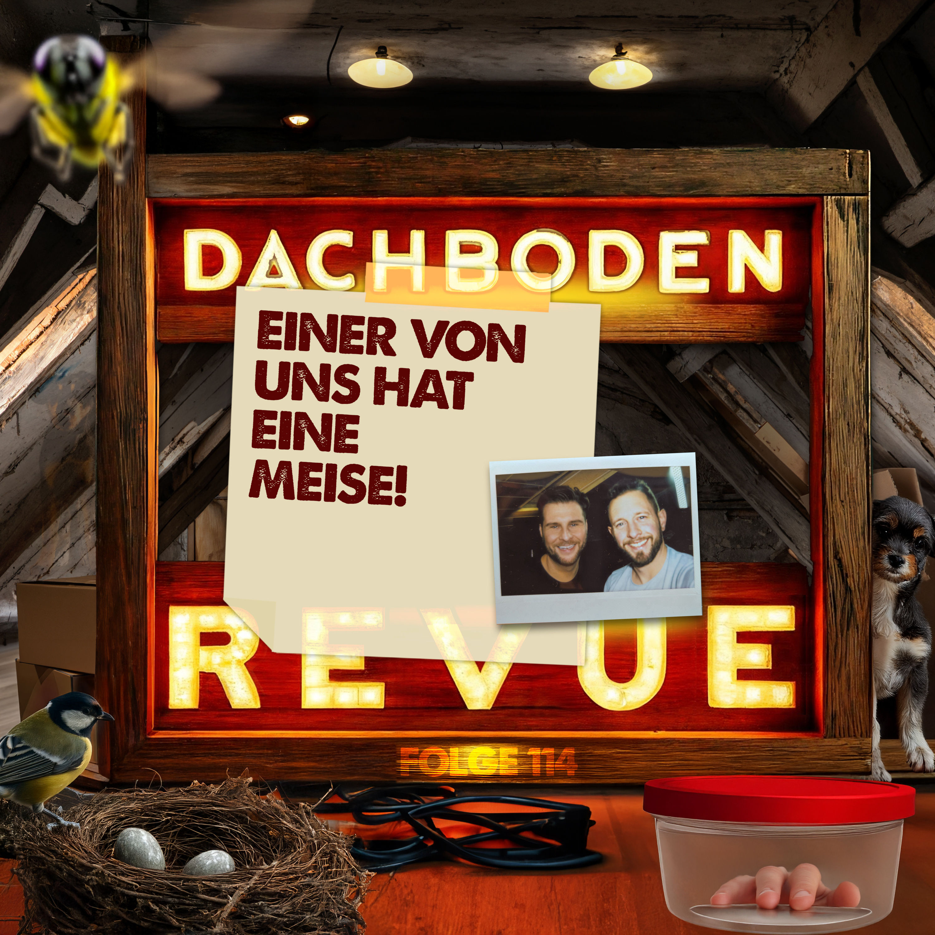 NEU #114, Einer von uns hat eine Meise!