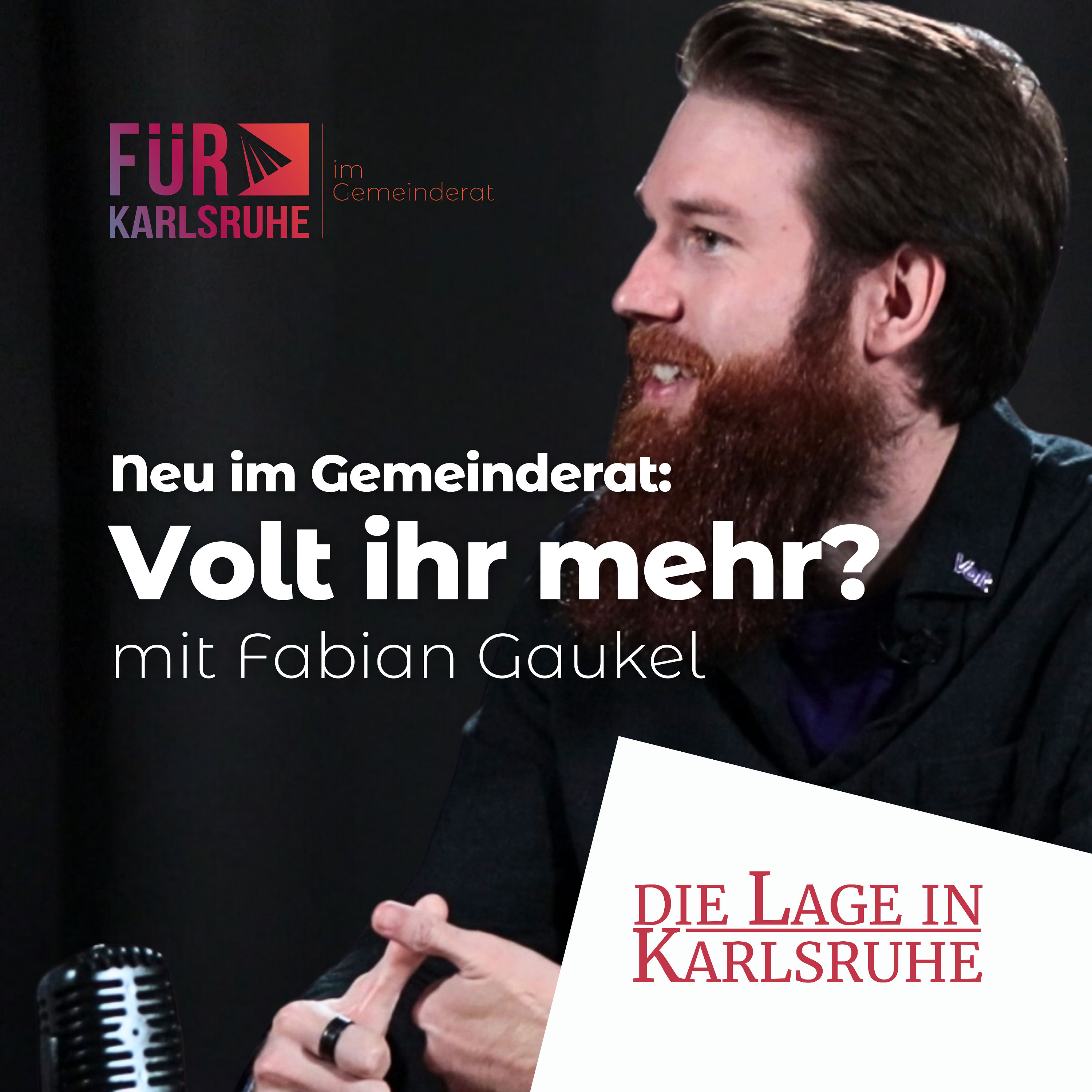 Neu im Gemeinderat: Volt ihr mehr?