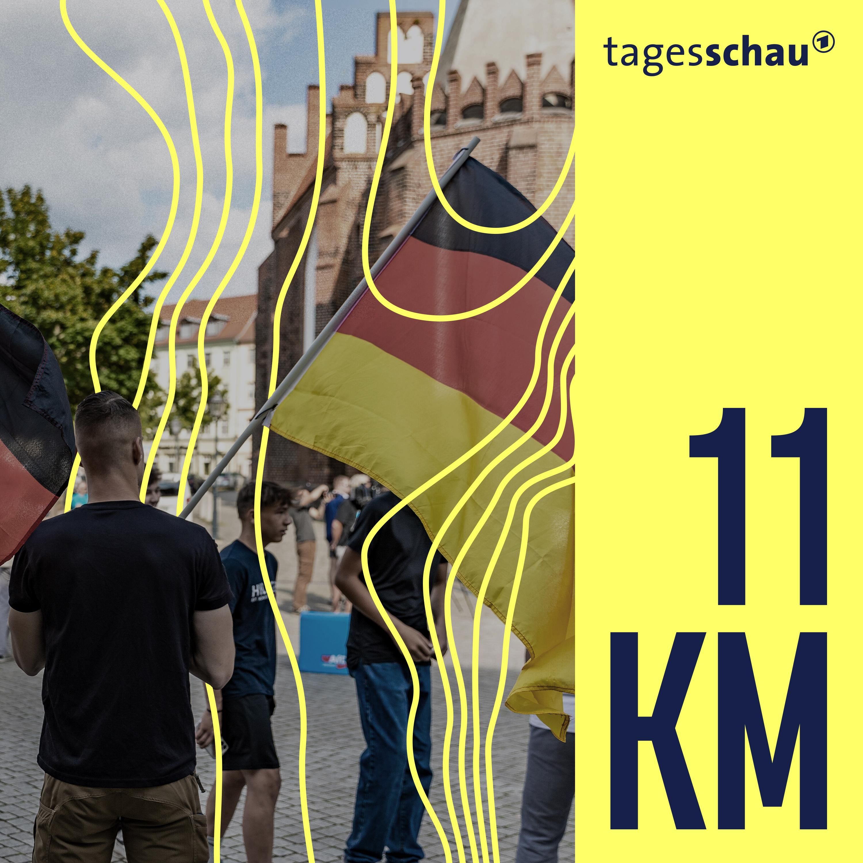 Neue AfD-Jugendorganisation: Wie radikal wird sie?