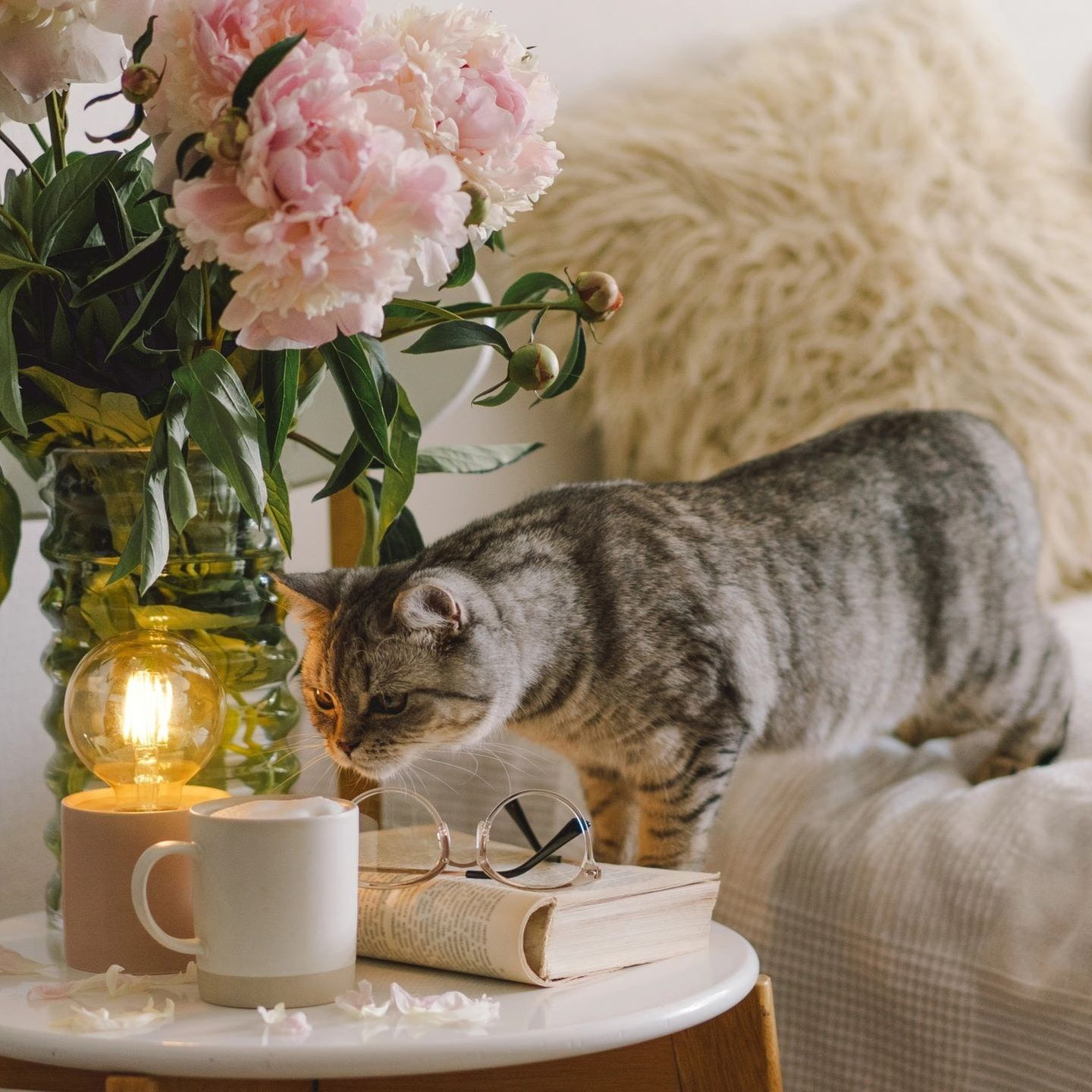 Neue Bücher von David Hugendick, Laila Lalami und Stefan Hertmans